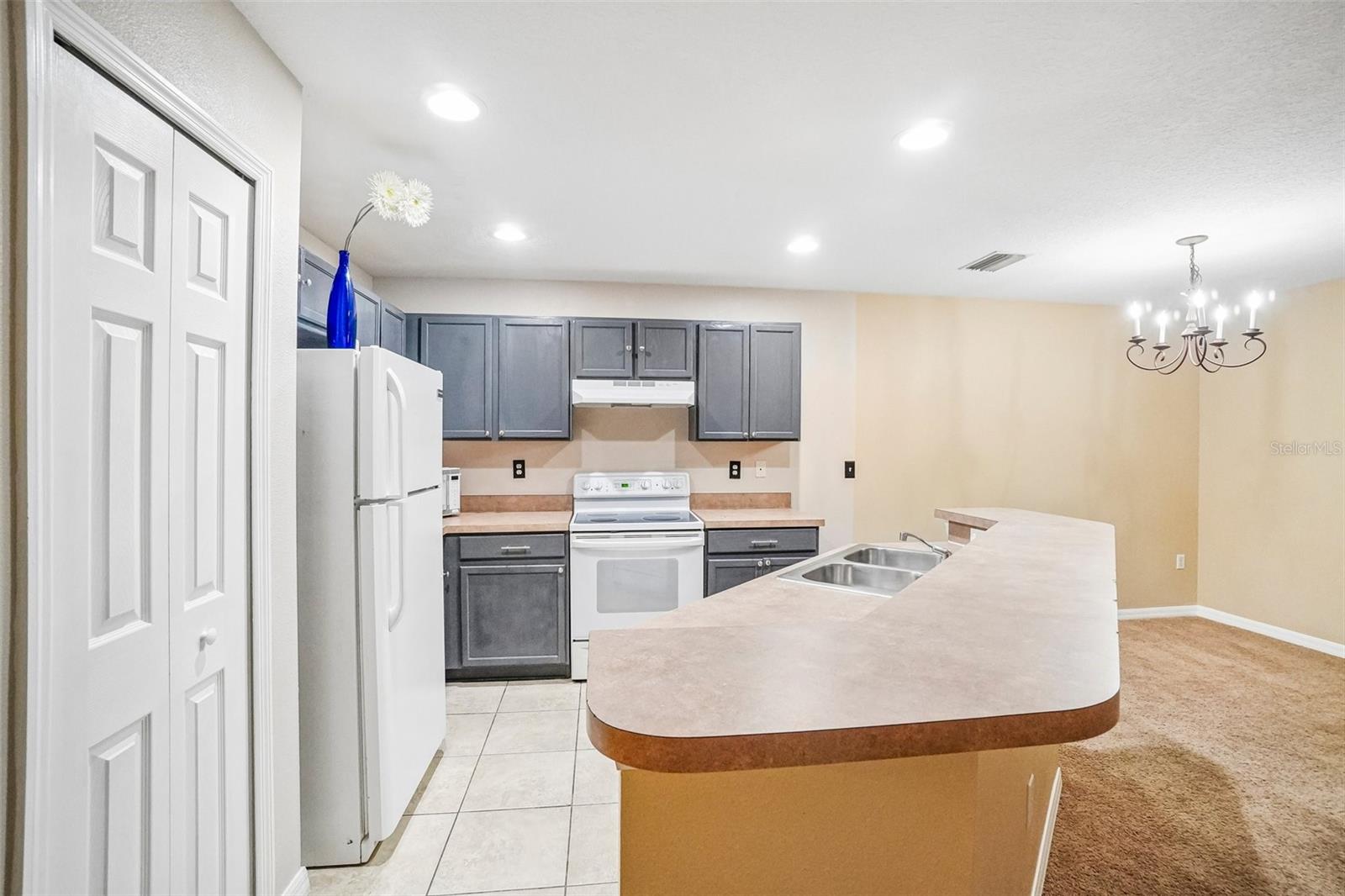EDGEWATER AT LAKE BRANDON - Residential