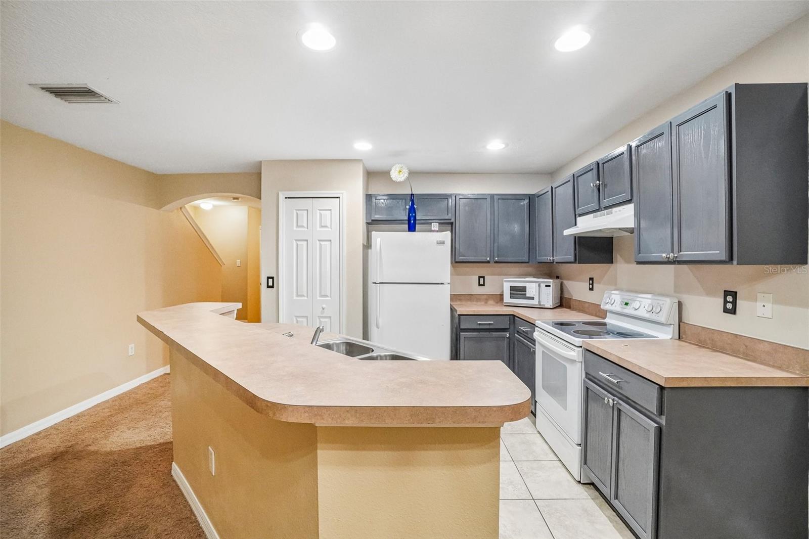 EDGEWATER AT LAKE BRANDON - Residential