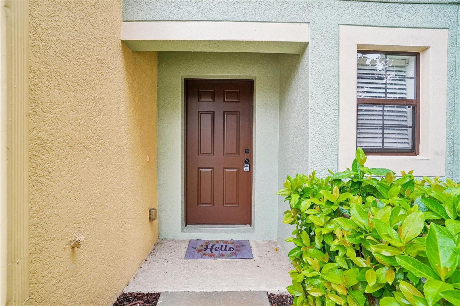 EDGEWATER AT LAKE BRANDON - Residential