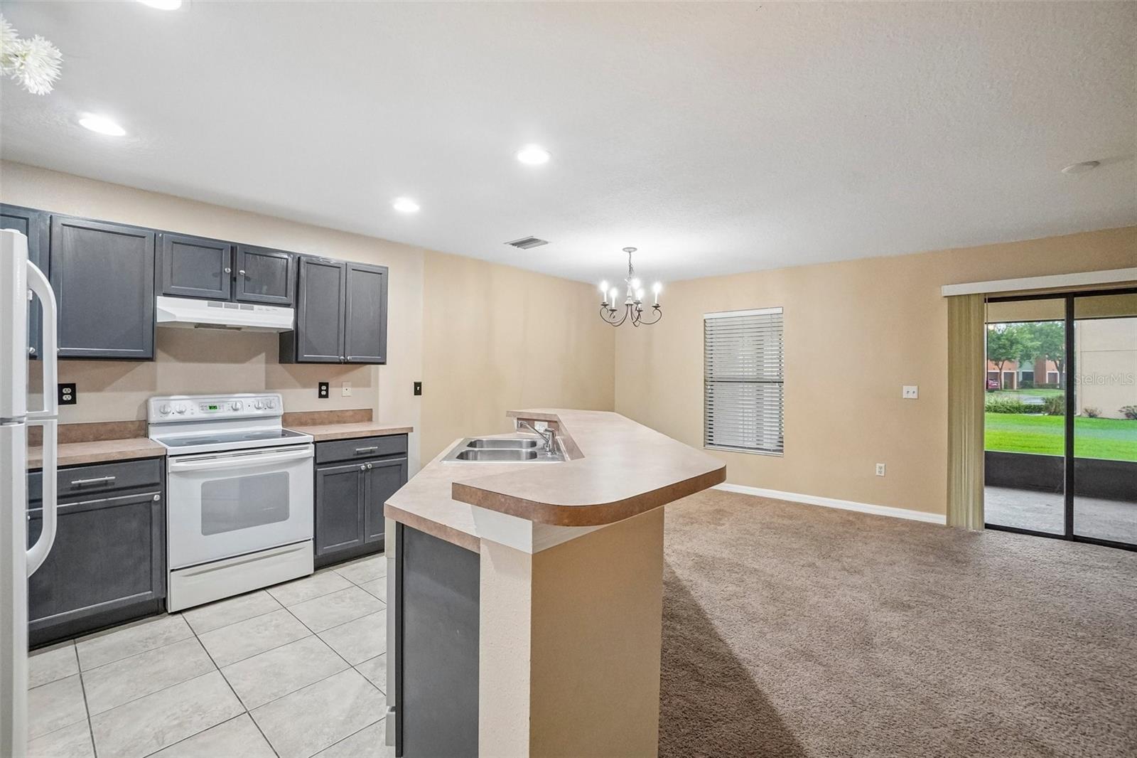 EDGEWATER AT LAKE BRANDON - Residential