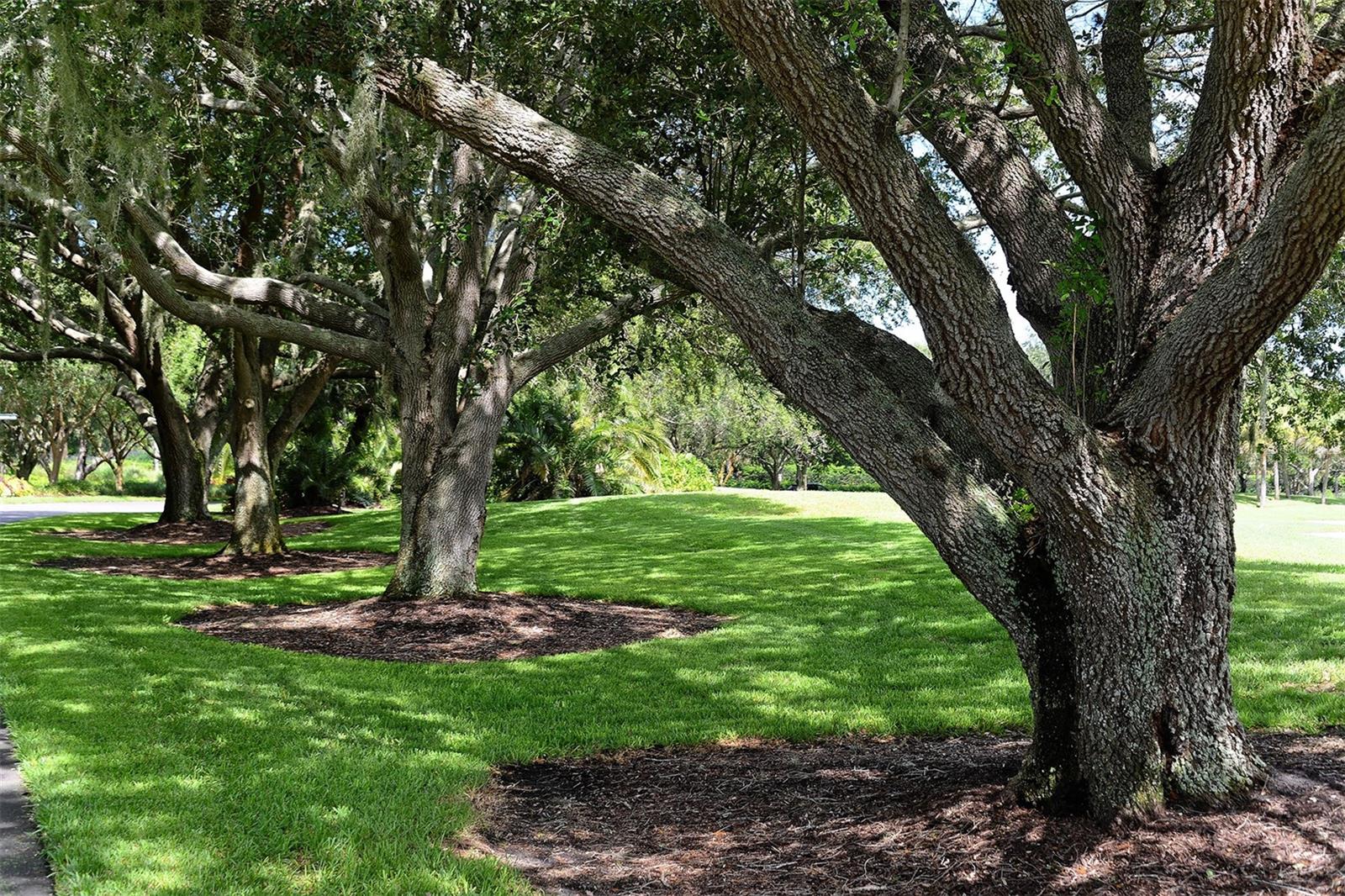 BISHOPSCOURT AT THE OAKS PRESERVE - Residential