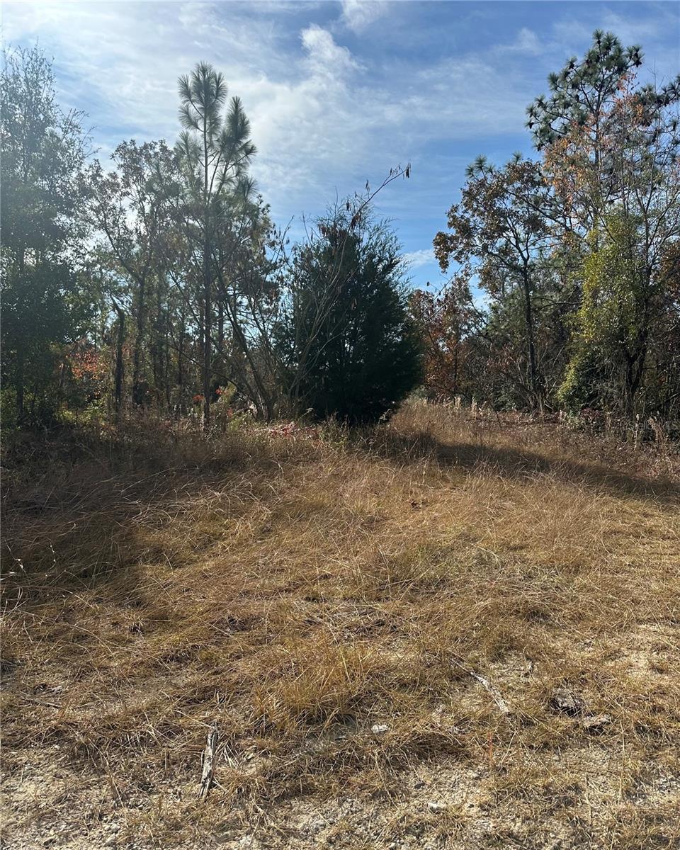 Come explore the potential of this 0.23-acre wooded lot tucked along an undeveloped street in a peaceful residential area. Surrounded by nature yet with established homes nearby, this property offers an appealing blend of privacy and community. Located in a region experiencing significant new development, this lot presents a great opportunity for buyers looking to invest in an area on the rise. With mature trees, a quiet setting, and convenient access to expanding amenities, it’s an ideal spot for a future home or long-term investment.