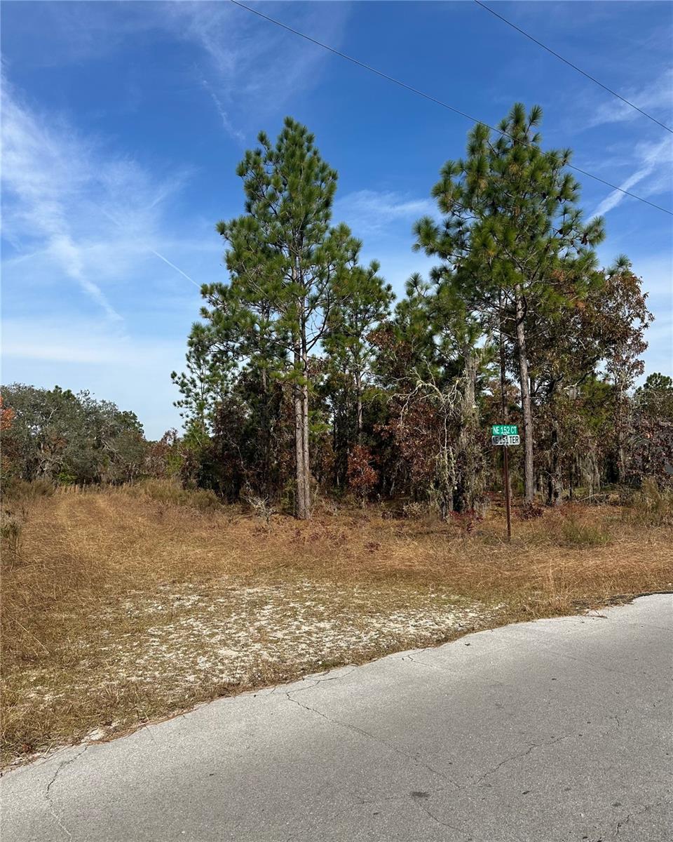 WILLISTON HYLNDS GOLF & C CLUB ESTATE - Land