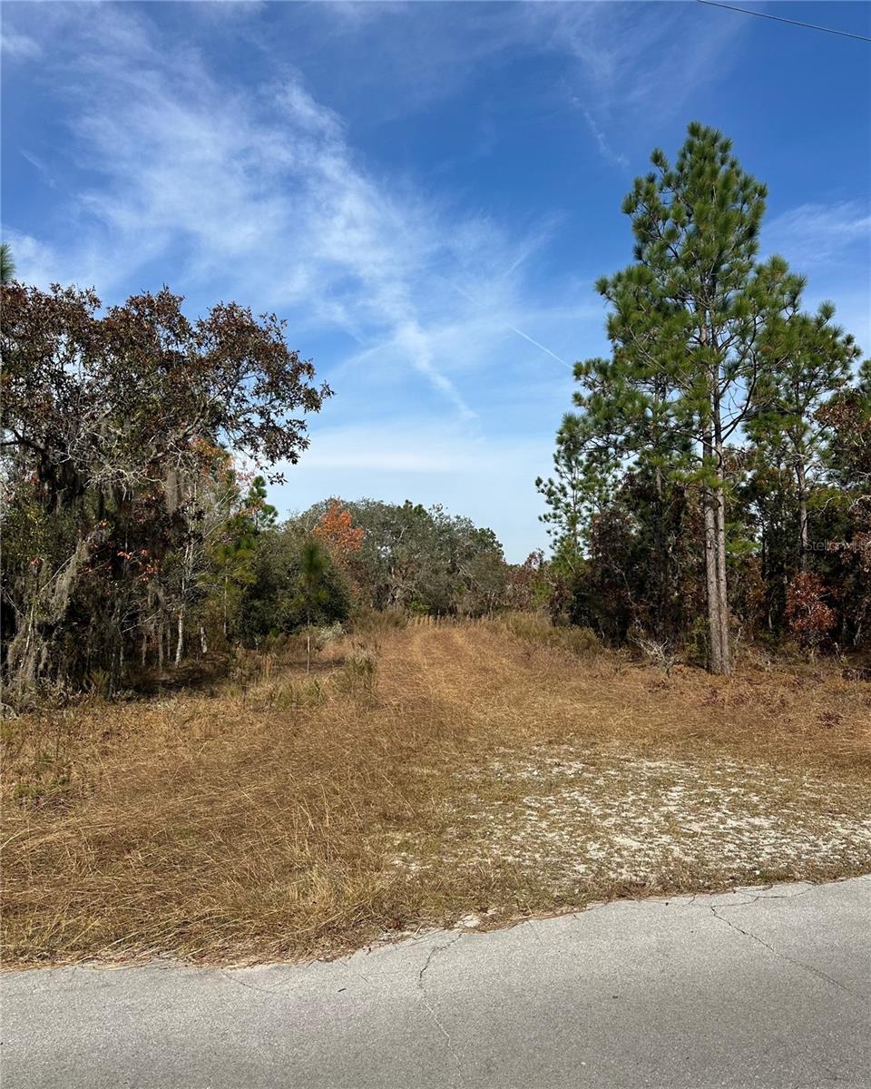 WILLISTON HYLNDS GOLF & C CLUB ESTATE - Land