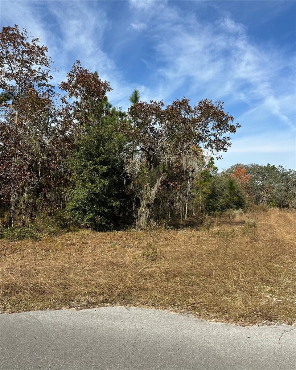WILLISTON HYLNDS GOLF & C CLUB ESTATE - Land
