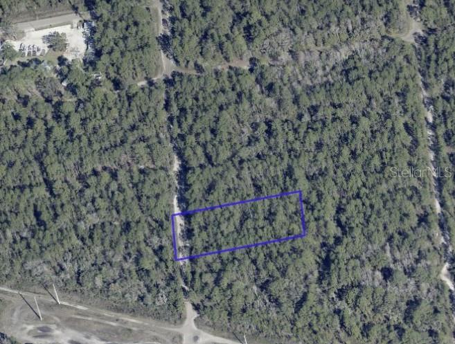 Invest in this spacious 1.25-acre residential lot located in the desirable Flagler Estates subdivision of Hastings, FL. Enjoy the privacy and peaceful surroundings of a growing area while still being within reasonable driving distance to St. Augustine, Palm Coast, and Flagler Beach.

This property offers a solid land investment opportunity for buyers seeking space, flexibility, and long-term potential. With no HOA and increasing development and demand in the surrounding area, this lot presents excellent value for those looking to invest now and hold for the future.