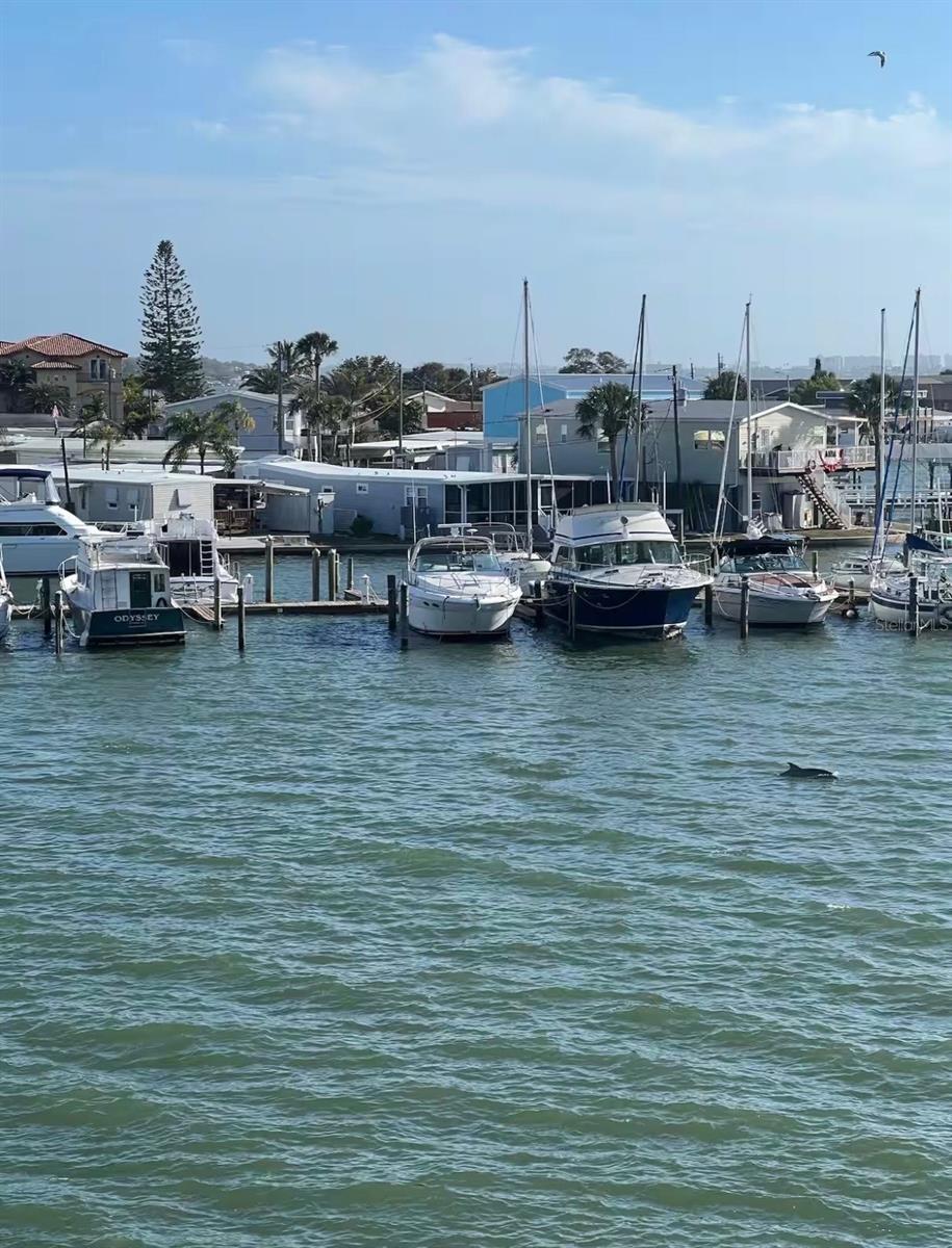 BOCA CIEGA RESORT & MARINA CONDO - Residential