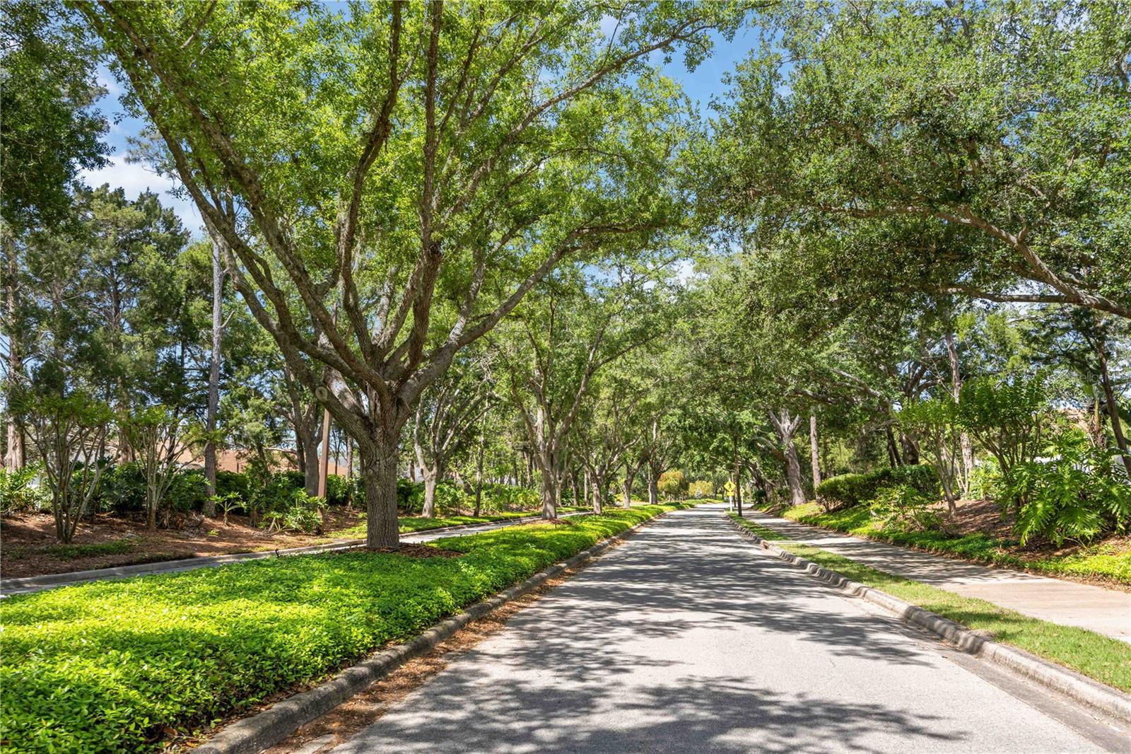 SUMMERFIELD VILLAGE SUBPHASE C - Residential