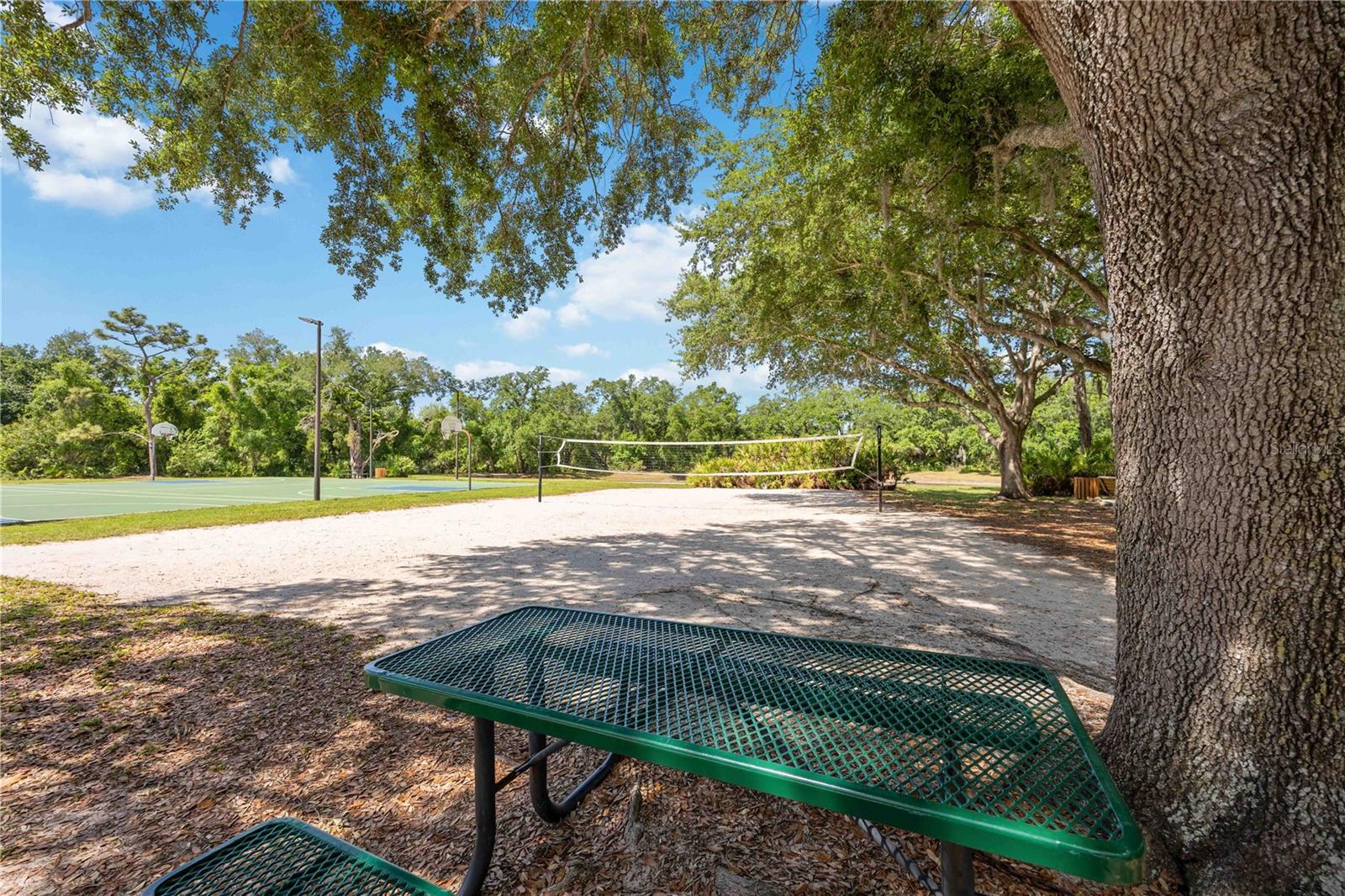 SUMMERFIELD VILLAGE SUBPHASE C - Residential