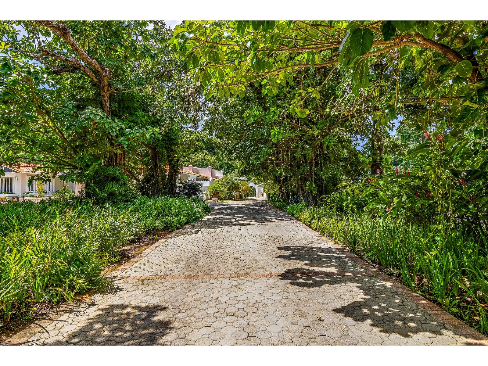 SAN PATRICIO - Residential