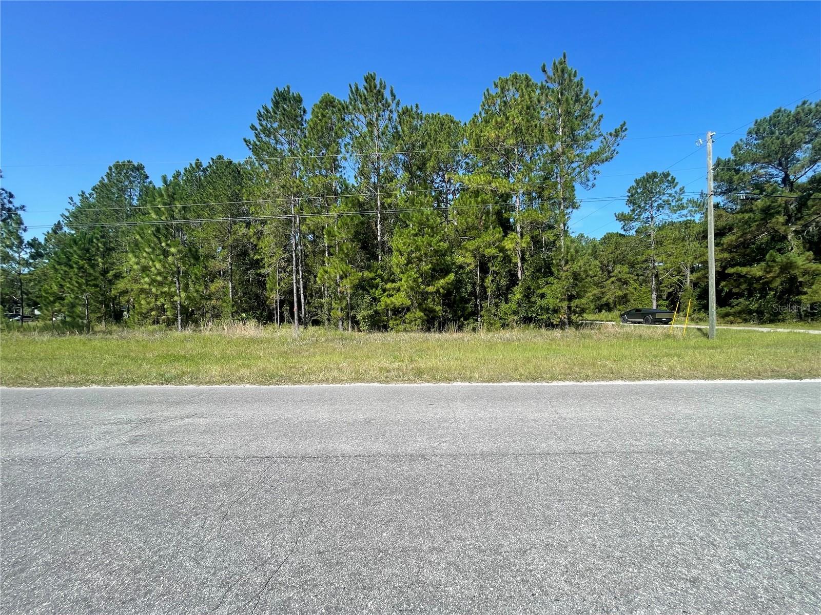 SILVER SPRINGS SHORES - Land