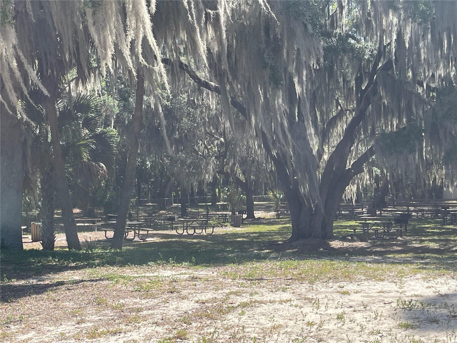 SILVER SPRINGS SHORES - Land