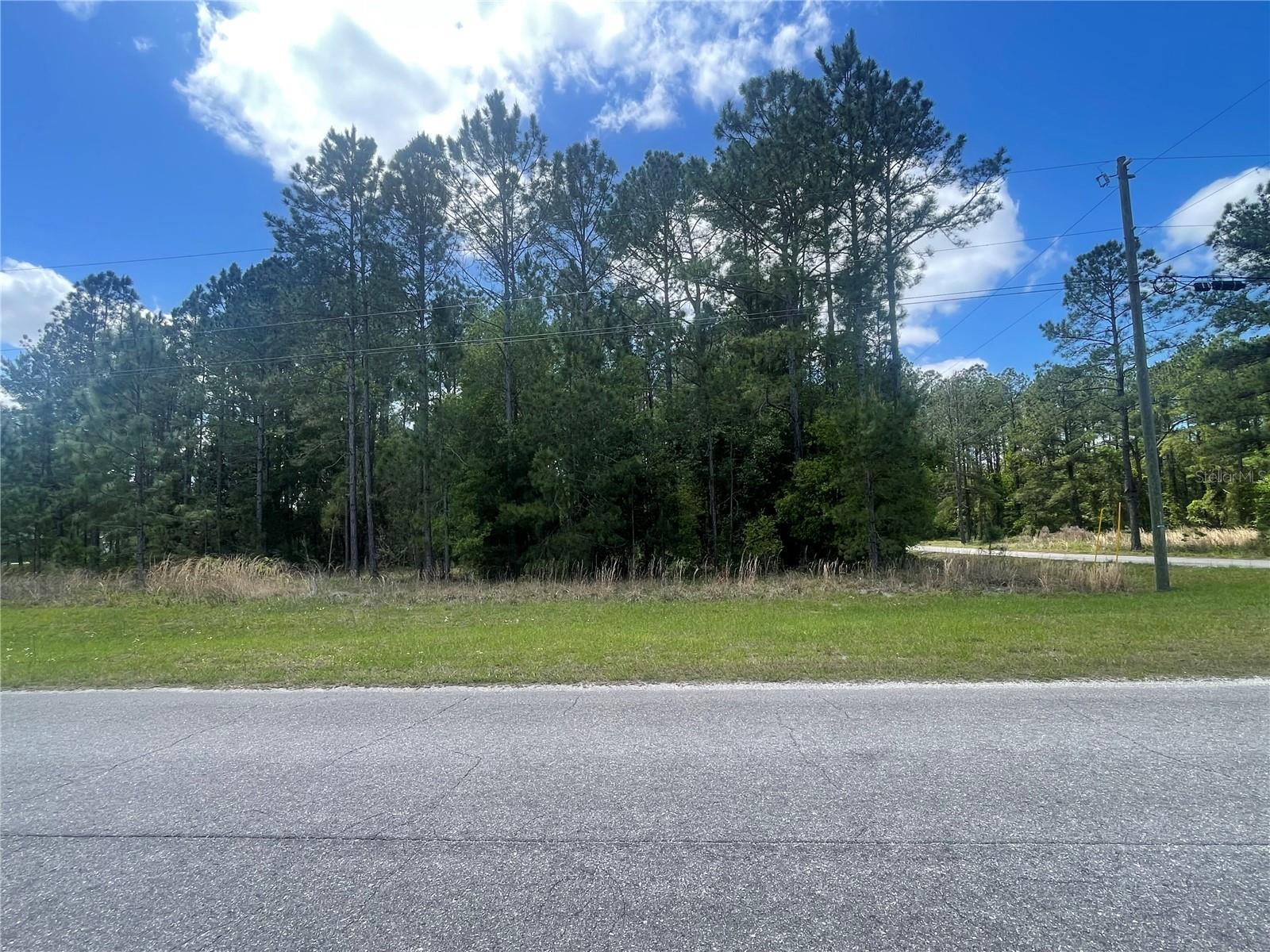 SILVER SPRINGS SHORES - Land