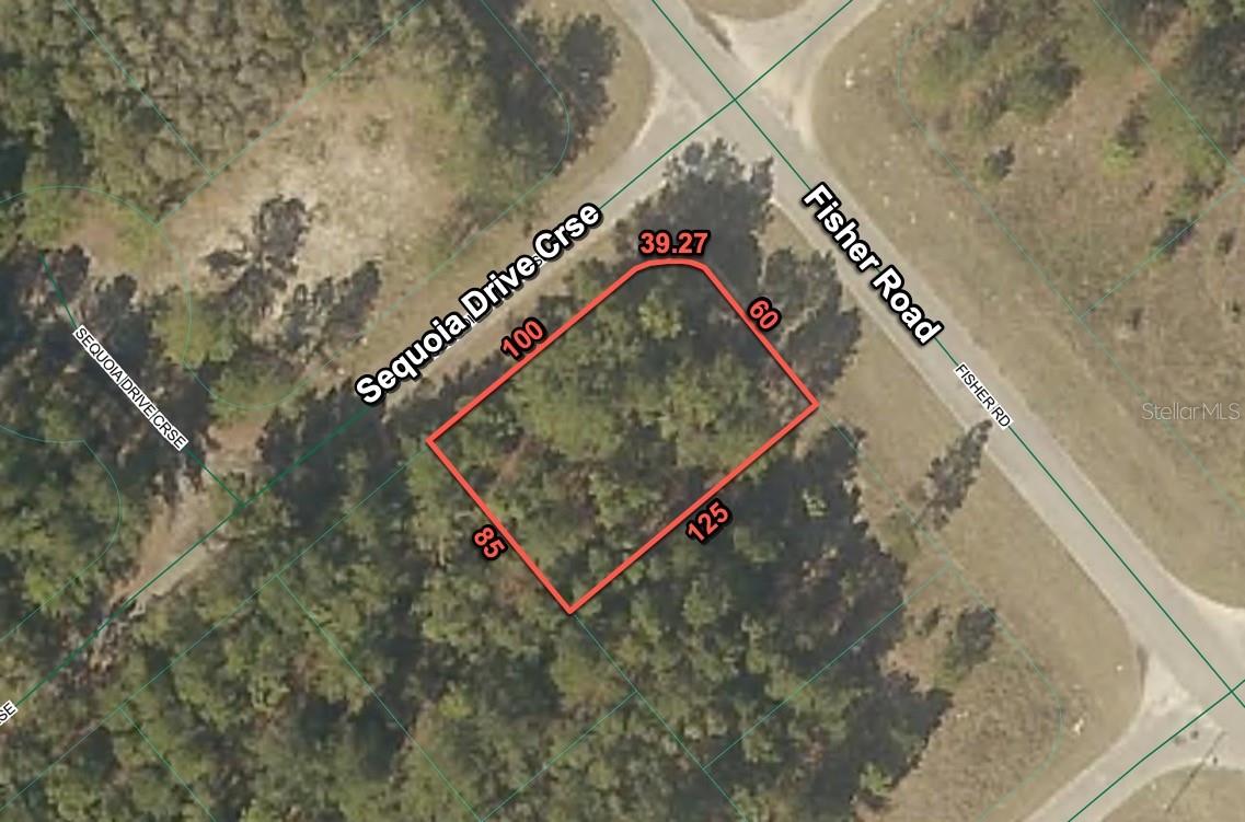 Summer special!  Seller financing available!  It's hot outside and so is this Silver Springs Shores deal!  Beautiful, high and dry .24 Acre Lot in Silver Springs Shores, with a paved road and electricity directly in front of the lot on the street. Not in a flood zone!  New homes are on the street and more are on the way. Build your dream home today or invest in your future! Located in Silver Springs Shores in Ocklawaha, Marion County. This is the heart of North Central Florida. Enjoy Ocala, the great outdoor activities, and nearby water sports. Minutes from Lake Weir and the national Forest, a jump from the Ocklawaha River and only a short drive to downtown Ocala. An outdoor paradise awaits. Yet, shopping, dining, and excellent healthcare facilities are all nearby. Ocala, Gainesville, and Orlando are all an easy commute. Own it today for a quick cash price of $15,900. As the subject is a vacant lot, it does not yet have an assigned address. The address used in this listing is for mapping purposes only. Use the address down the street of 212 Fisher Road, Ocklawaha FL 32179 to navigate to the neighborhood. The subject is two blocks north, at the southwest corner of Fisher Road and Sequoia Drive Course. Or use the GPS coordinates of 29.069927, -81.875930 in your phone or Goog maps. From the corner of CR 25 and SE 145th Ave (Bay Road), head northeast on SE 145th Ave (Bay Rd) for 1.5 miles. Right turn (east) on SE 113th Street Rd for 1.7 miles. Left turn (northerly) on Fisher Road for .8 miles.  The subject is on your left (approximately .8 miles down) at the southwest corner of Fisher Road and Sequoia Drive Course.