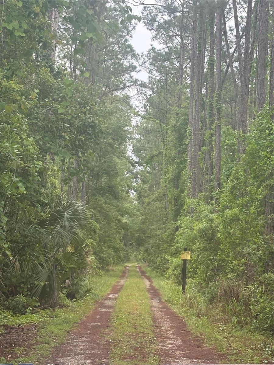 Explore the possibilities with this generous 2.5 - acre parcel of vacant land in the thriving Deland area of Volusia. Ideally positioned near major thoroughfares including U.S. Highway 17/92 and State Road 44, the property allows for easy connectivity throughout Central Florida and quick access to larger corridors such as Interstate 4 and Interstate 95, linking you to Orlando, Daytona Beach, and beyond. Enjoy close proximity to DeLand’s vibrant downtown district, known for its local dining, shopping, and community events, as well as nearby retail centers, parks, and everyday conveniences. The area continues to experience steady growth, making this an attractive location for future use or long-term hold. The property is fully wooded and has not been cleared, offering a blank canvas for your vision. Whether you’re considering industrial use or another permitted use, the land will require clearing and site preparation to meet your specific needs. With its combination of size, road access, and strategic location, this property presents a unique opportunity to invest in one of Central Florida’s developing markets. Buyers are encouraged to consult environmental and building regulations to explore the full potential of this unique proprety.