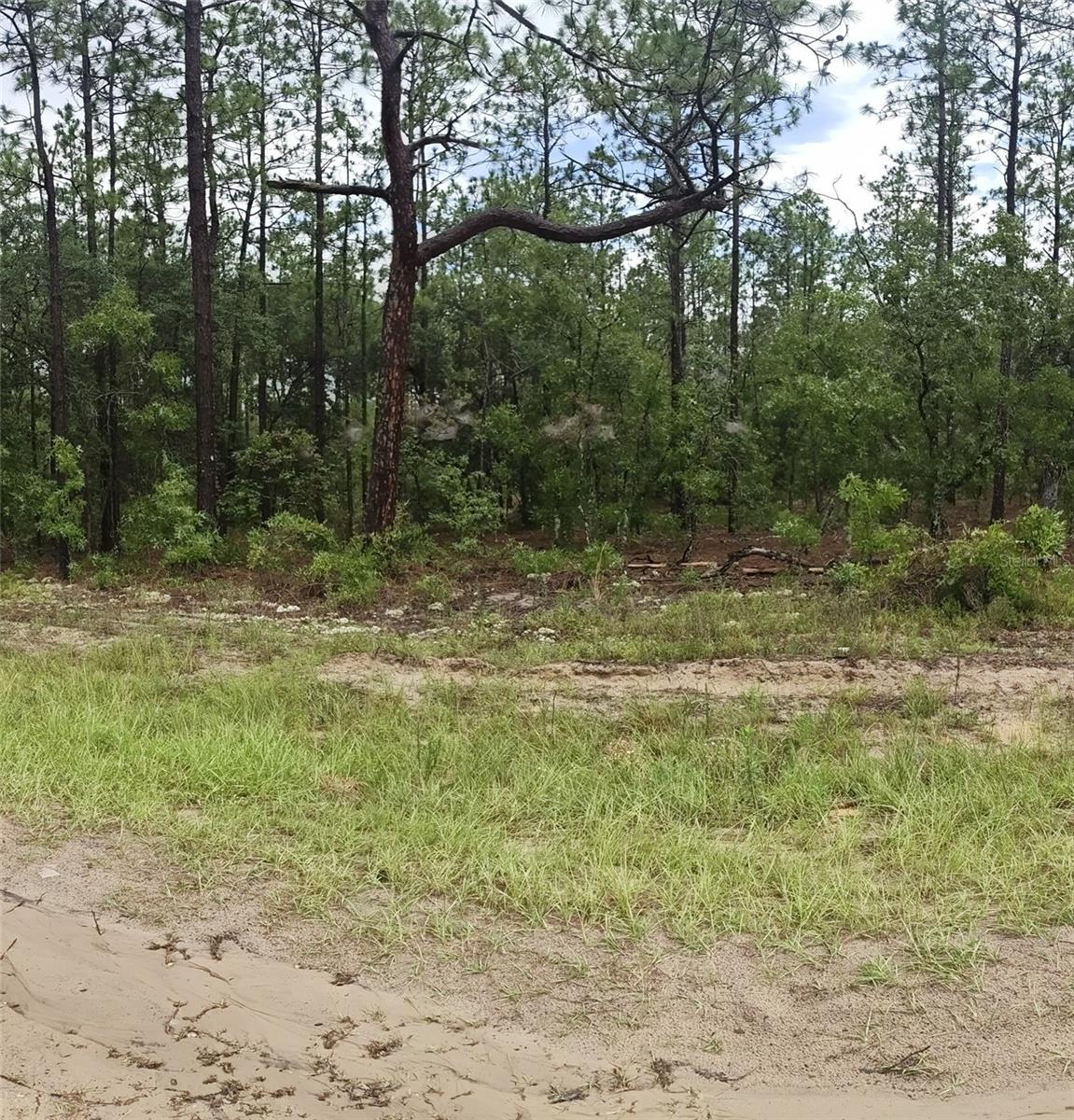 Under contract-accepting backup offers. Come and bring your buyers to this beautiful, flat lot in a growing neighborhood. It's located on a street where beautiful homes are already under construction, and there's so much opportunity to build a dream home in this rapidly growing area.