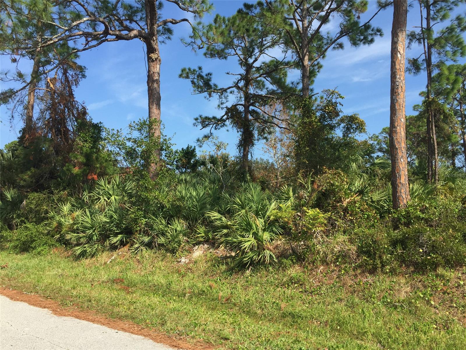 Florida Shores 01 - Land