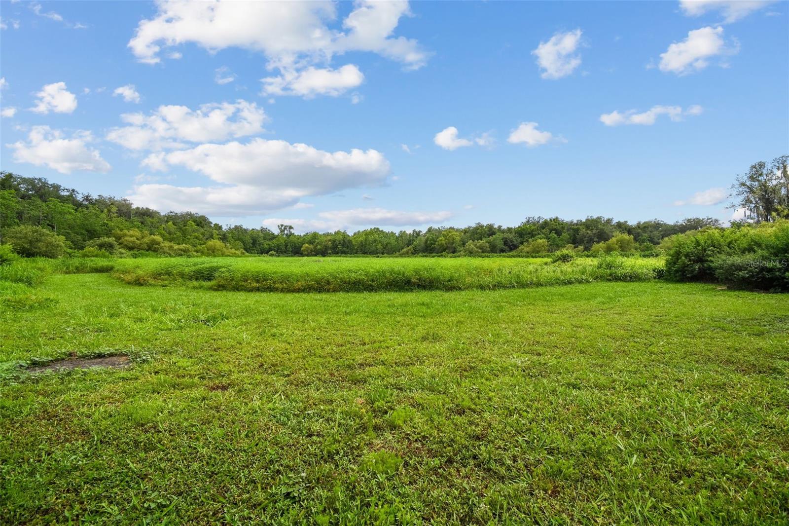 ACREAGE - Land