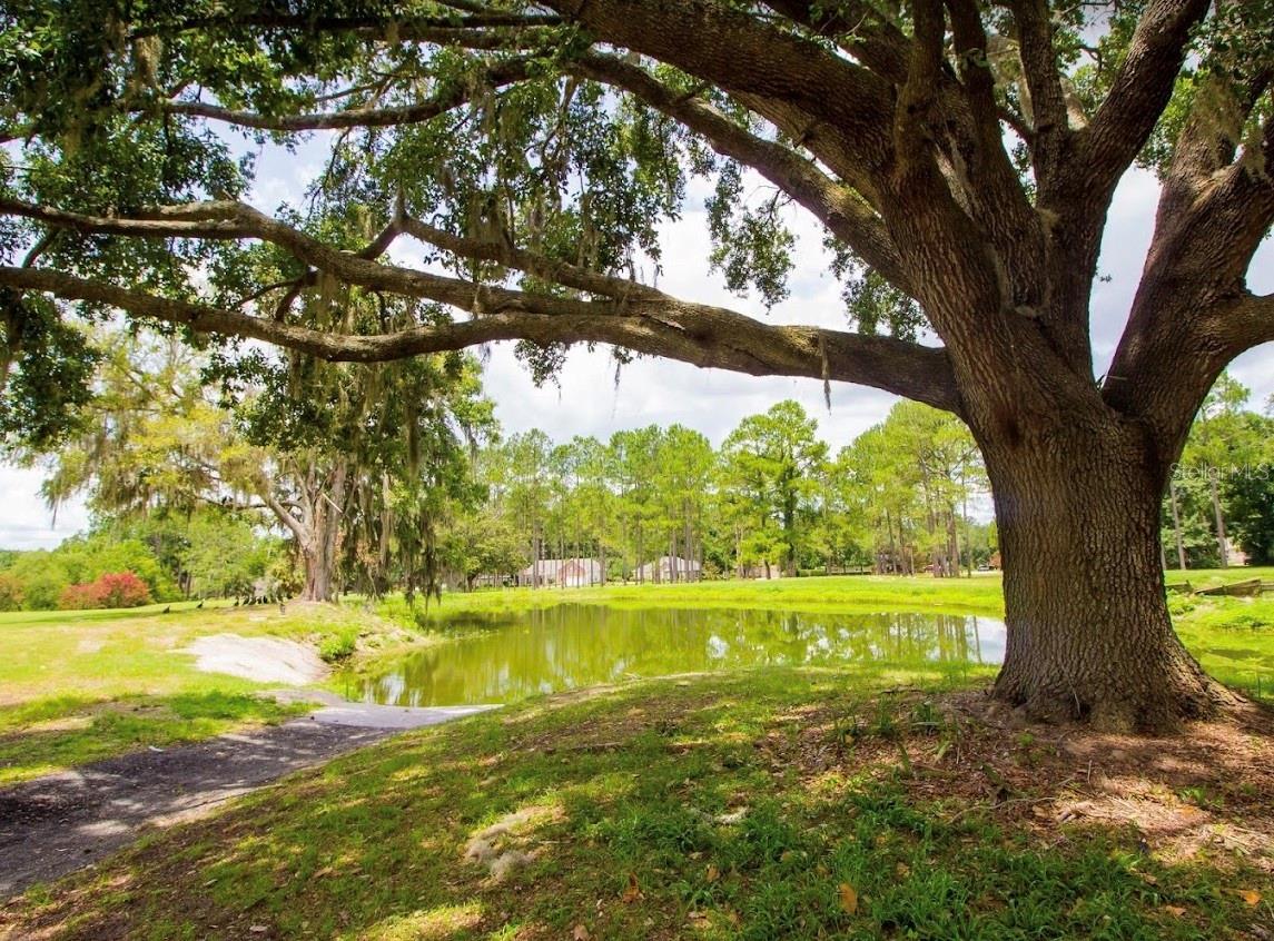 BRIARWOOD - Residential