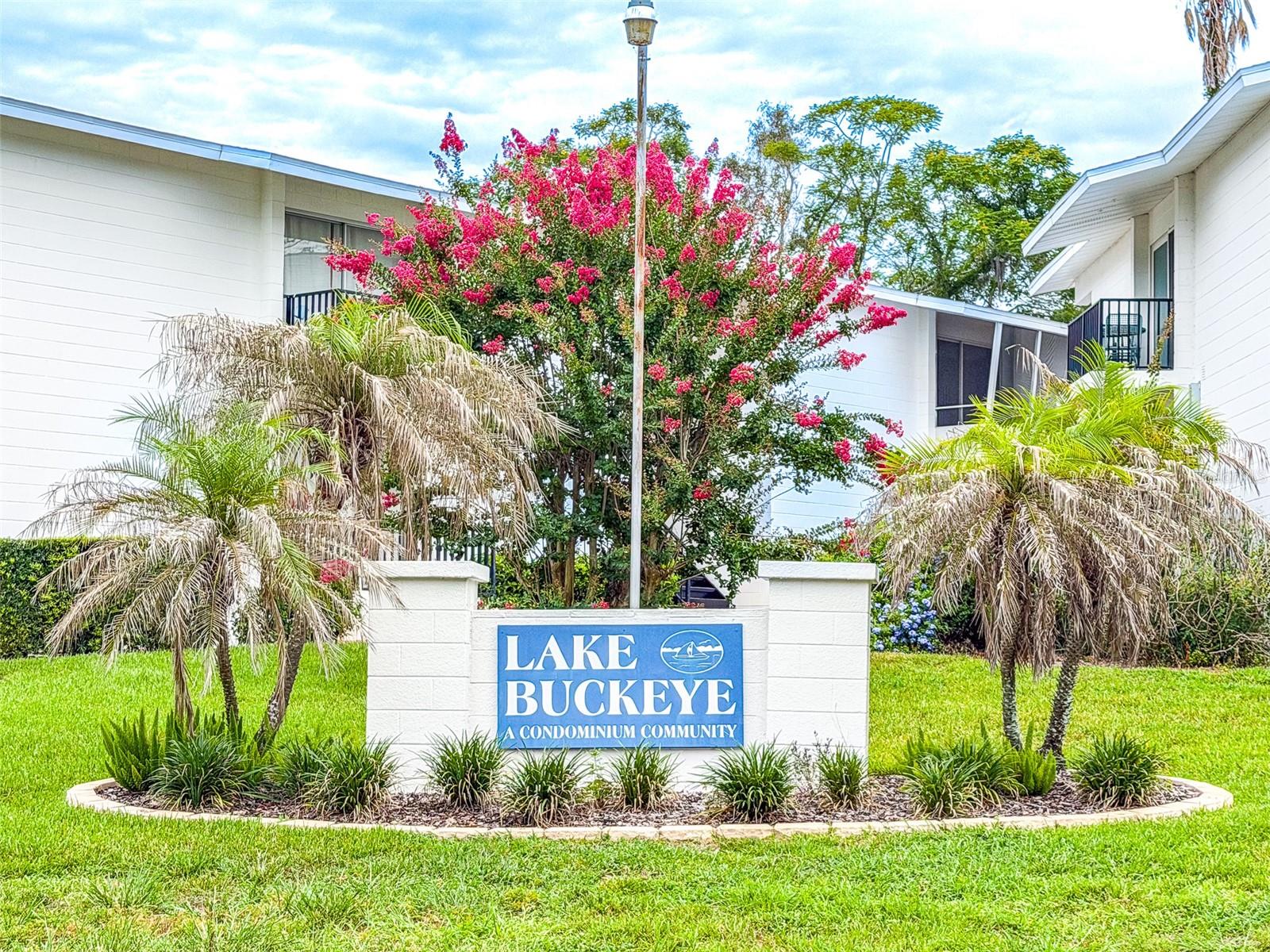 LAKE BUCKEYE CONDO - Residential