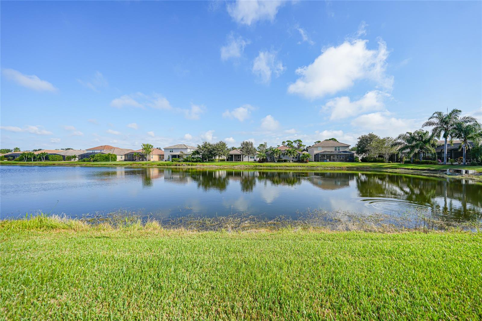 STONEYBROOK AT VENICE - Residential