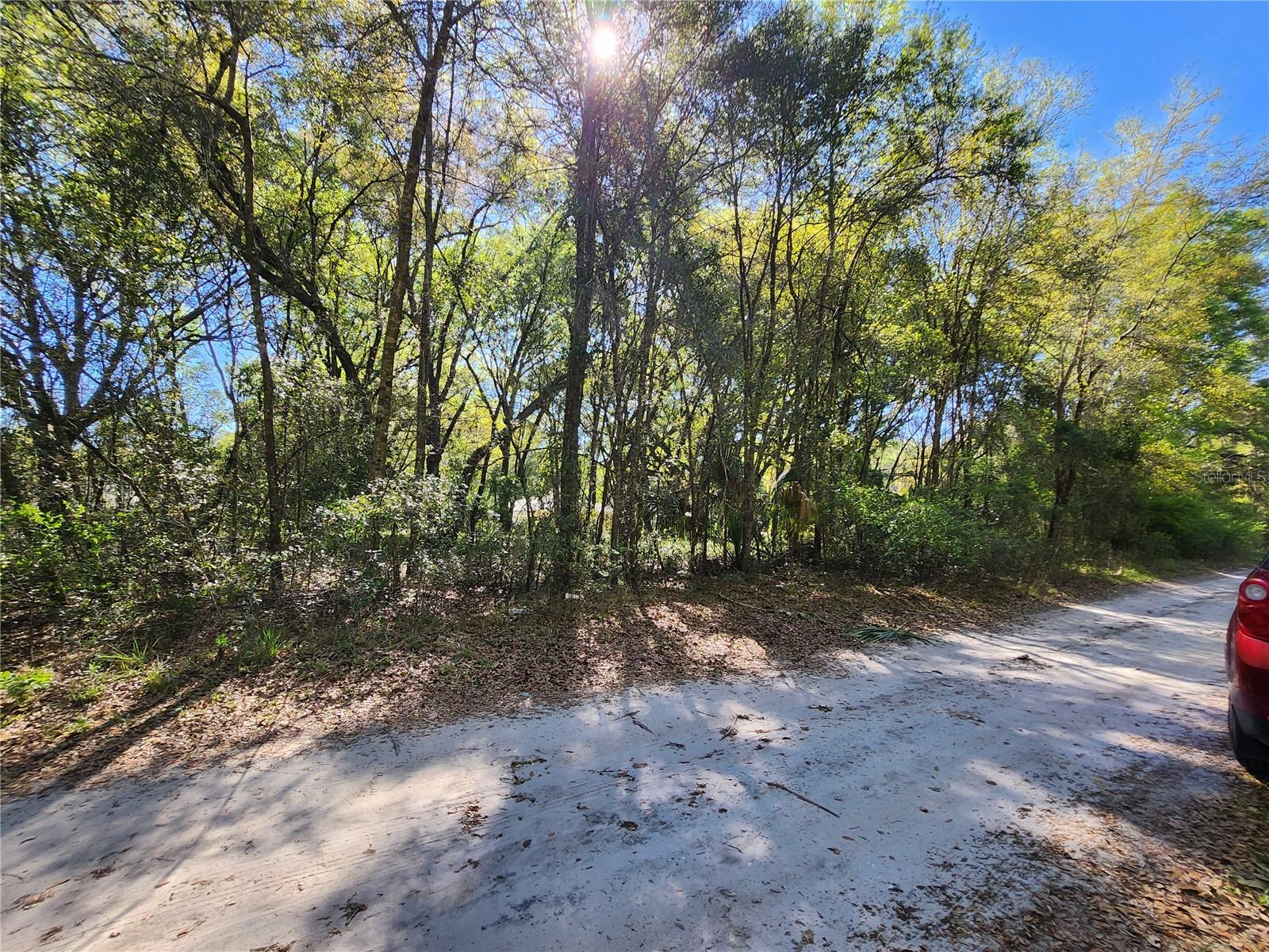 BELLEVIEW HEIGHTS ESTATE - Land