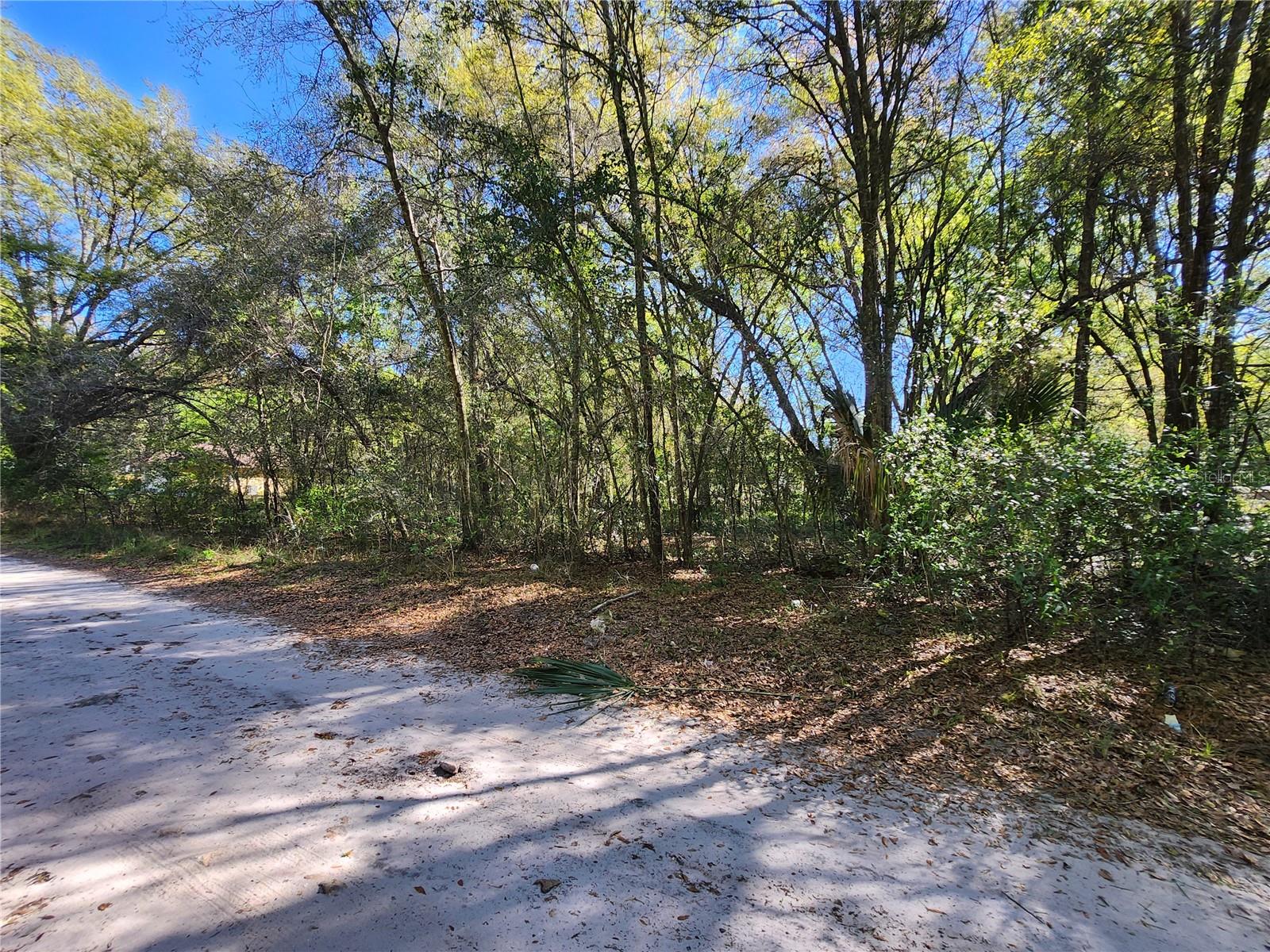 BELLEVIEW HEIGHTS ESTATE - Land