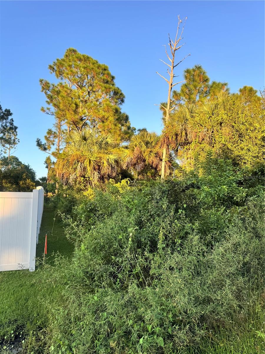 BEAUTIFUL HIGH LOT SITS NEXT DOOR TO A BRAND-NEW HOME, SURVEY WAS JUST DONE IN AUGUST.
 
ONE OF THE HIGHEST STREETS IN NORTH PORT .
THIS AREA IS 1.4 MILES TO 75 OFF TOLEDO BLADE EXIT, DIRECTLY OFF CRANBERRY.
ALL THE SURROUNDING STREETS IN THIS AREA ARE HIGHER THAN MOST.