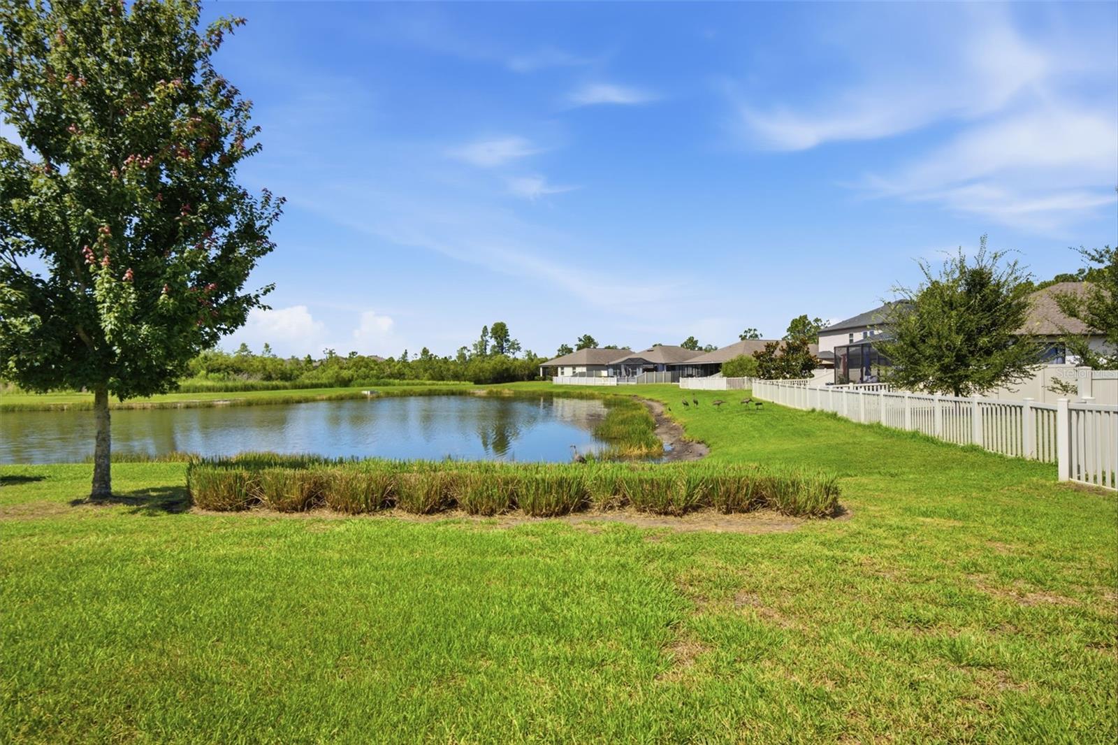 CONNERTON VILLAGE 2 PH 1B PRCL 218 - Residential Lease