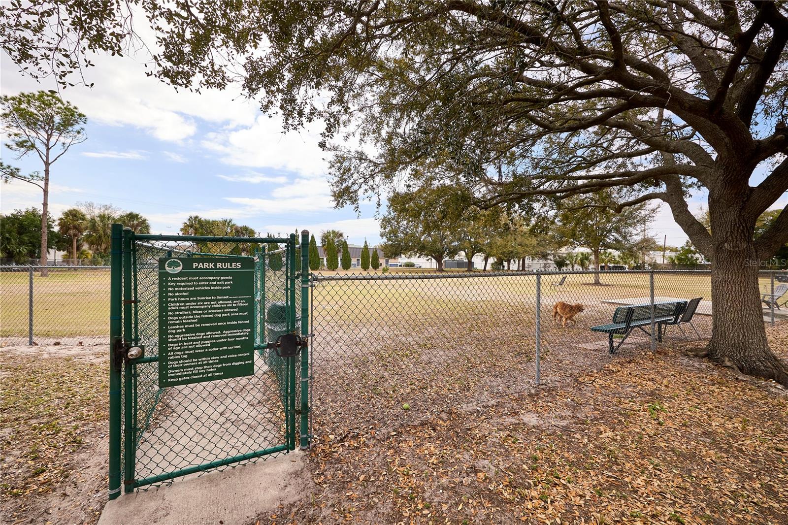 CARROLLWOOD SUB UNIT 1 - Residential Lease