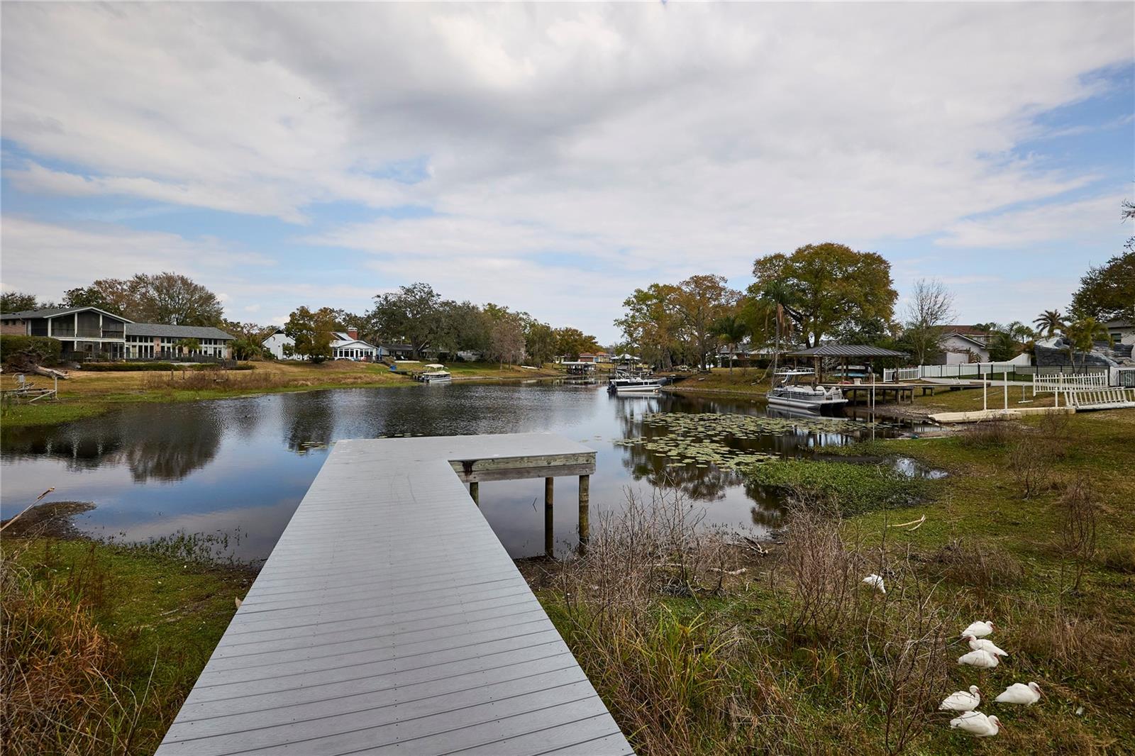 CARROLLWOOD SUB UNIT 1 - Residential Lease