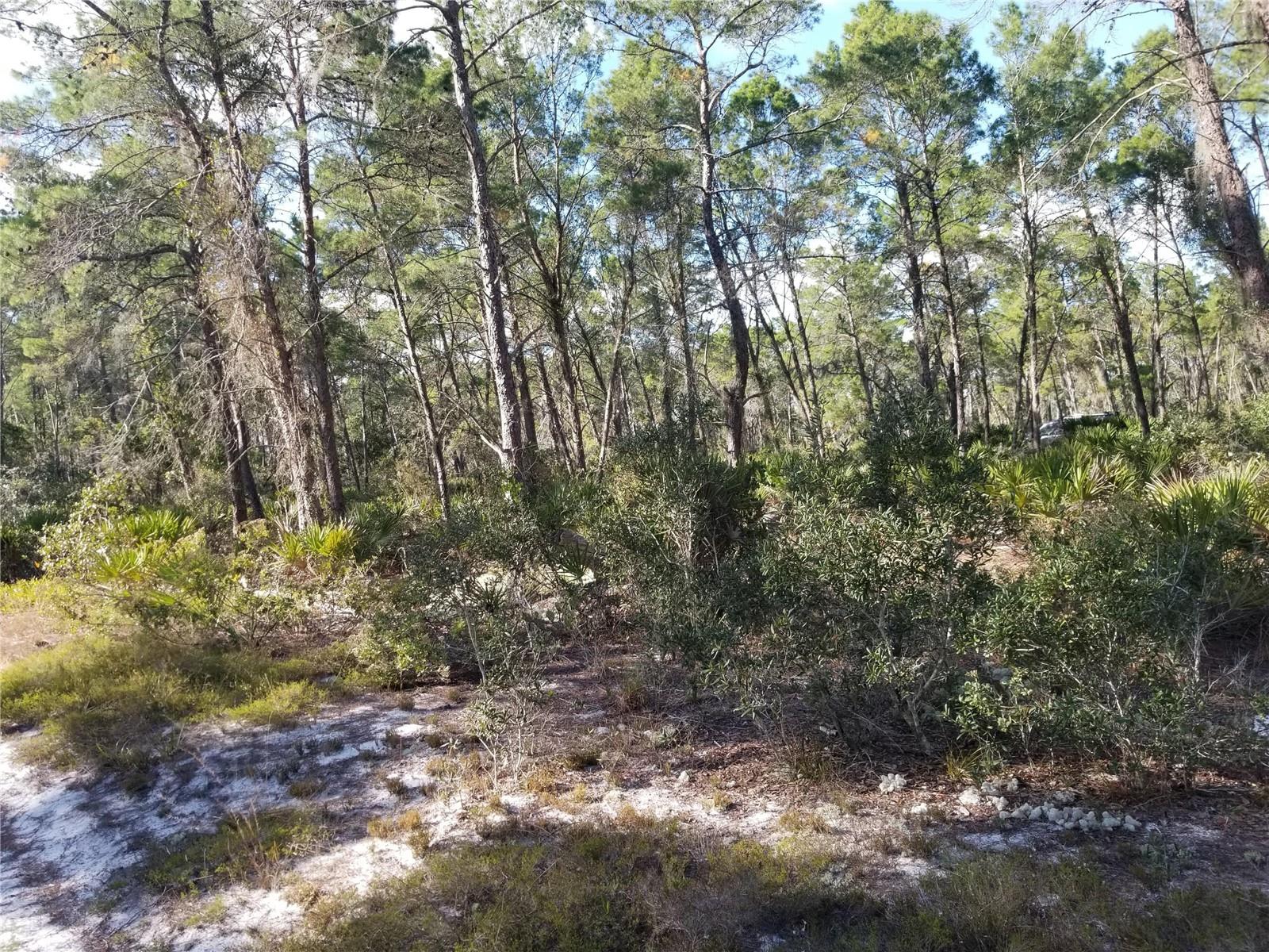 SEBRING HILLS SO - Land