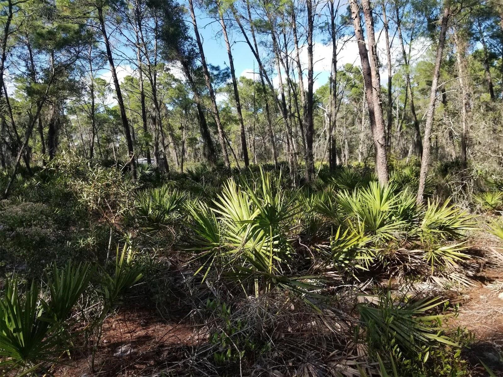 SEBRING HILLS SO - Land