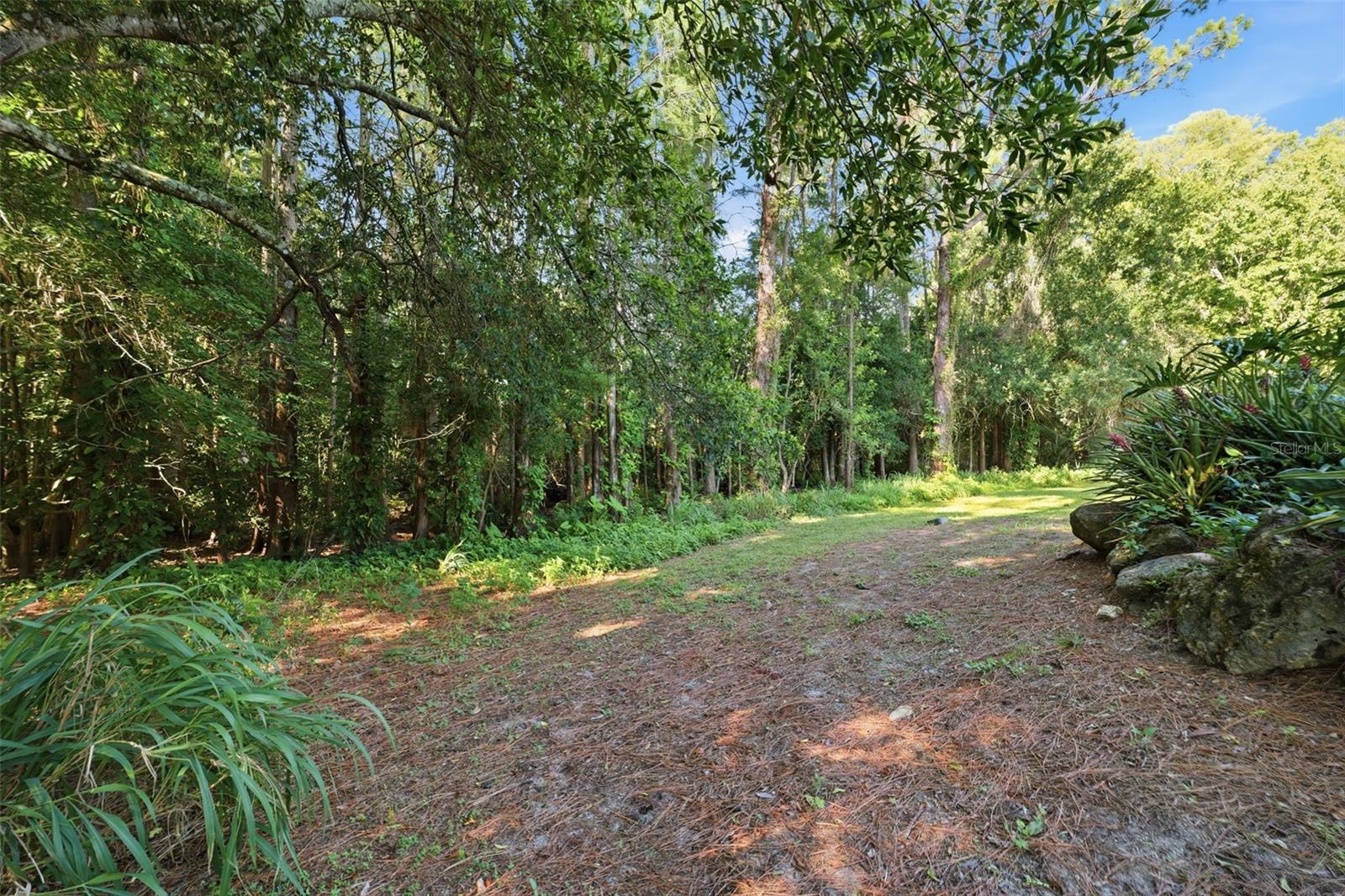 GOLDEN ACRES - Residential