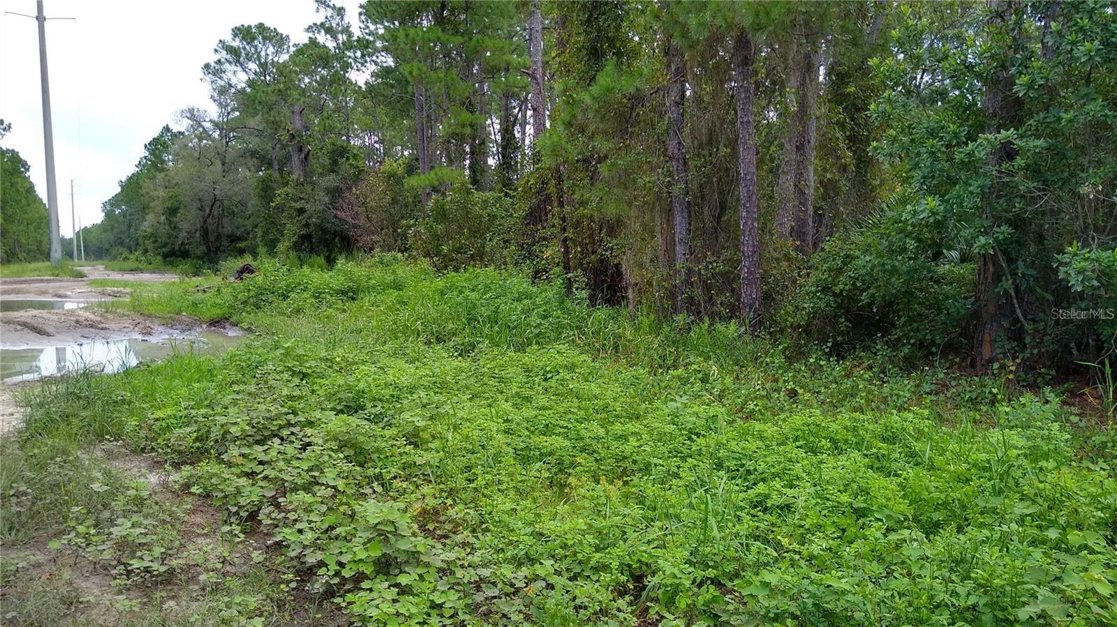 DAYTONA PARK ESTATES REP PT SEC D & E - Land