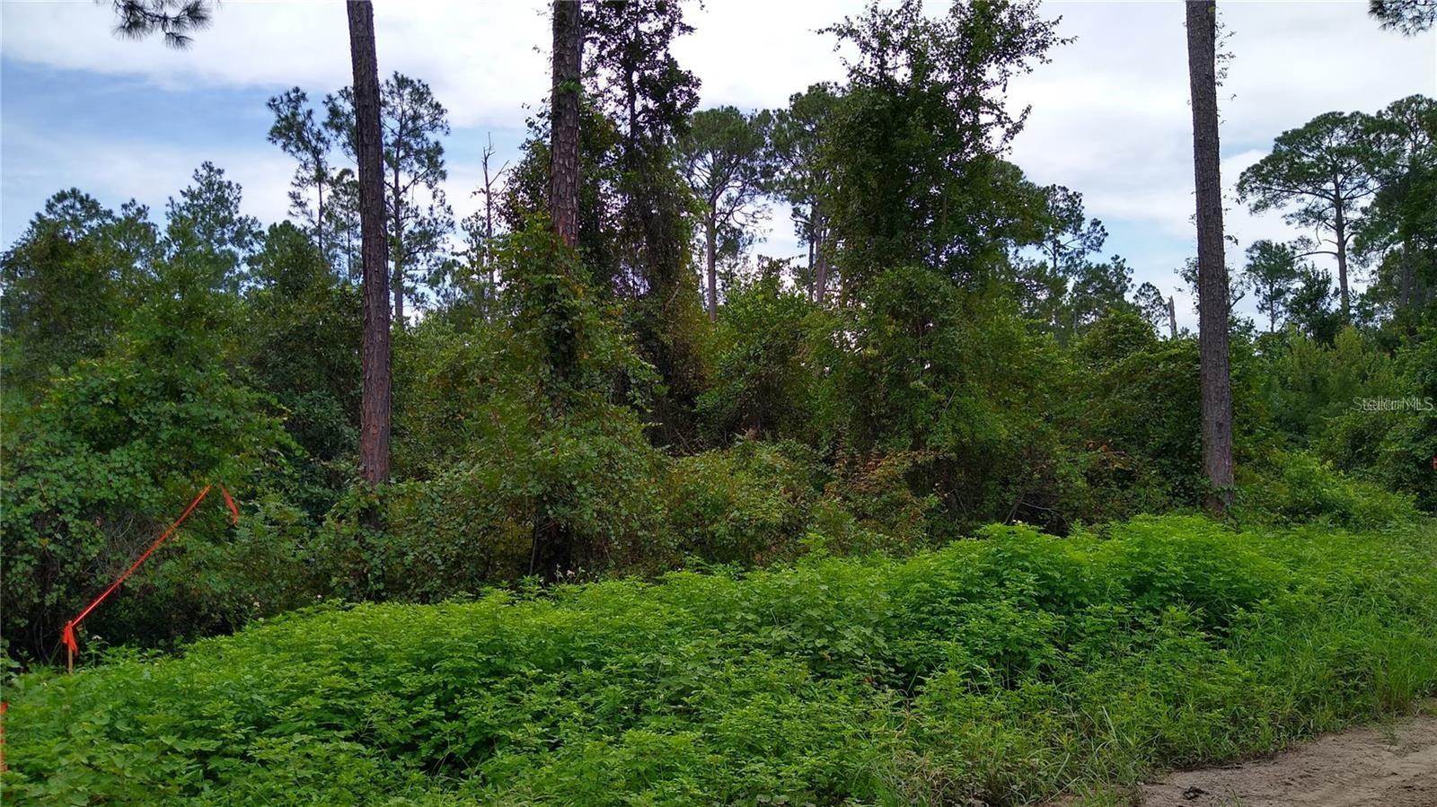 Great opportunity to get your own piece of land. Build your own Paradise on this .26 acre buildable lot in Daytona Park Estates. Demand is growing rapidly throughout Volusia county with ongoing Development in the surrounding areas. No HOA and low taxes if you would like to build in the future. Buyer responsible for due diligence. No survey available.