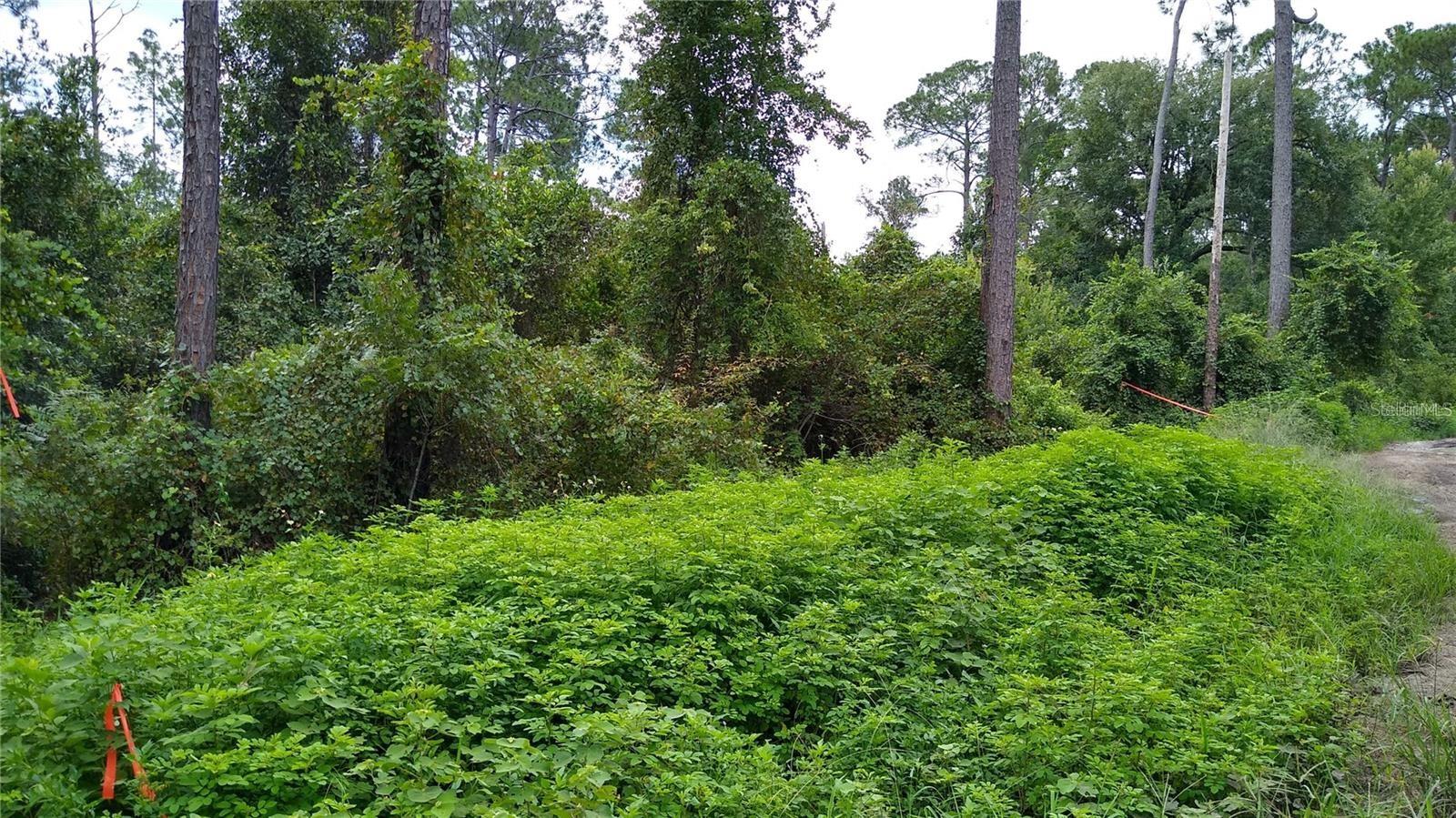 DAYTONA PARK ESTATES REP PT SEC D & E - Land
