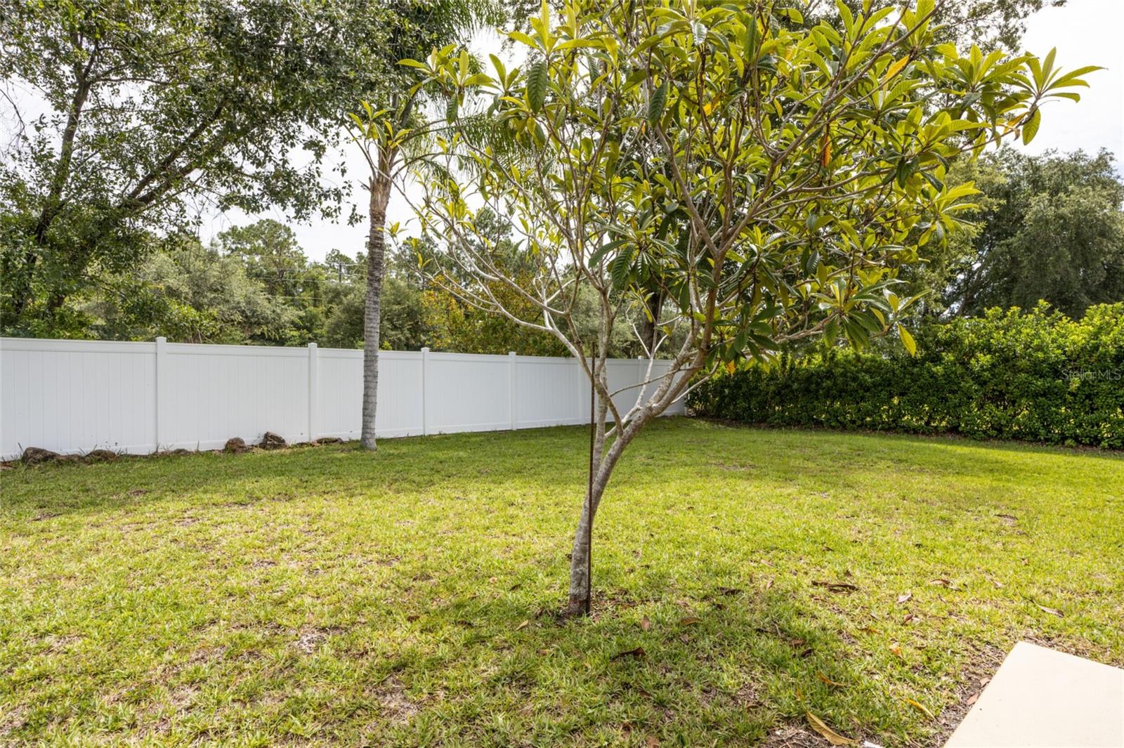 PALM COAST SEC 32 - Residential