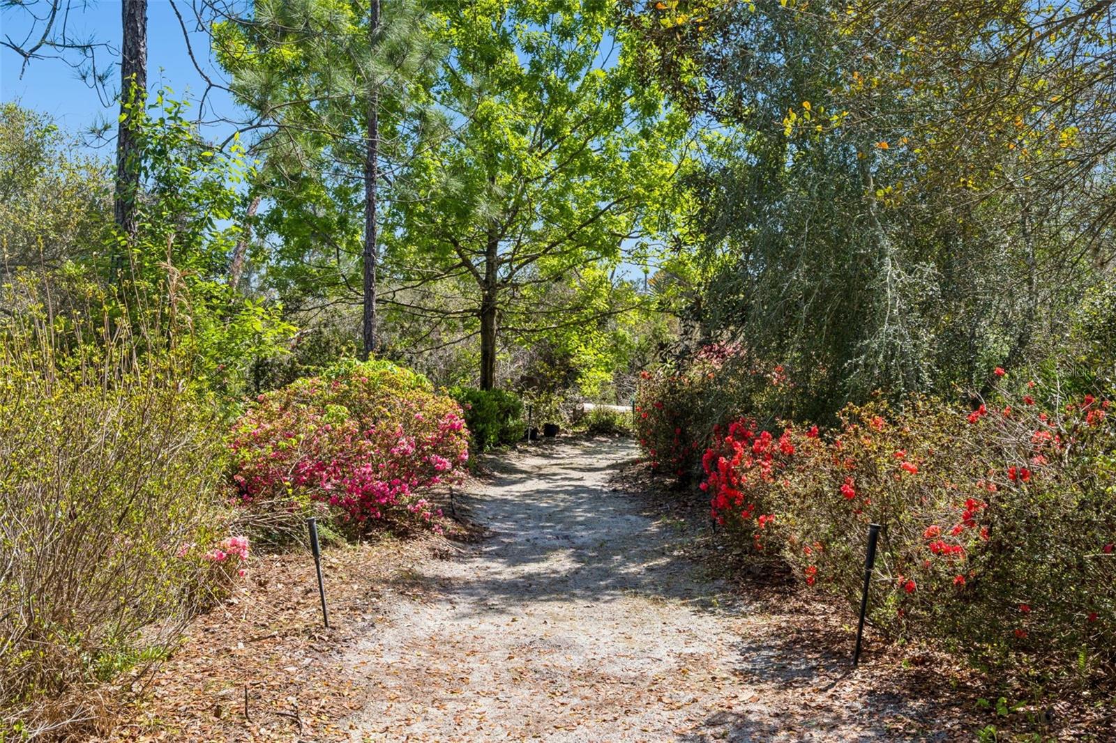 FORESTDEL 2ND ADD - Residential