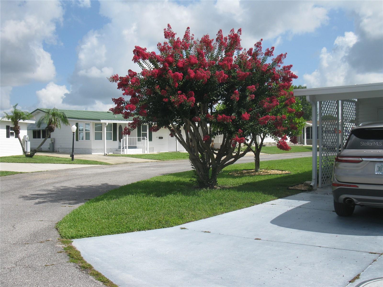 SWEETWATER GOLF & TENNIS CLUB - Residential