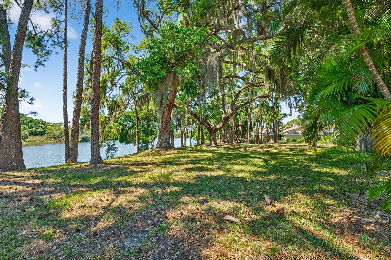 LONGWOOD VILLAS - Residential