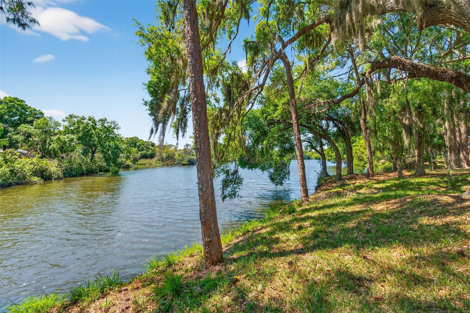 Tucked away in the quiet back section of the well maintained community of Tivoli Village in Longwood Run, this beautifully updated 3-bedroom, 2-bath home offers the perfect blend of comfort, style, and serene Florida living. The highlight of this exceptional property is the breathtaking lake view framed by majestic oak trees—creating a private, park-like, peaceful backdrop that truly sets this home apart.
From the moment you arrive, you’ll be captivated by the fresh, light exterior paint, lush tropical landscaping, and a stately oak tree that sets the tone for the tranquil setting. The HOA is responsible for landscaping, roof repair & replacement and painting of all exterior walls. HOA fees include: property insurance, landscaping, mowing, irrigation, admin fees, roof replacement & repairs, and exterior painting.
Step inside to a warm, inviting entry that opens into a bright, airy open-concept floor plan featuring soaring vaulted ceilings. Stunning Spanish-inspired tile flooring flows throughout most of the home, creating a cohesive and elegant feel. The recently updated kitchen is a true centerpiece, featuring sleek modern cabinetry, matching appliances, unique concrete countertops, a chic tile backsplash, and a stainless refrigerator—perfect for both everyday living and entertaining.  A top of the line reverse osmosis in the kitchen, adds an extra layer of comfort and quality.
The thoughtfully designed split floor plan offers privacy for guests, with two guest bedrooms and a conveniently located bathroom. One bedroom features French doors, making it ideal as a home office, den, or art studio. The home features vaulted ceilings throughout creating an open, airy feel. 
The spacious primary suite is a true sanctuary, complete with laminate flooring, a large walk-in closet, and sliding glass doors that lead directly to the pool patio. The en suite bathroom offers dual sinks, solid surface countertops, and a large soaking tub perfectly positioned to take in peaceful lake views.  In addition, 2 skylights infuse the primary bathroom with soft, natural light. 
Indoor-outdoor living is seamless, with multiple sliding doors from the main living area opening to the expansive screened pool patio. This inviting space is ideal for relaxing, entertaining, or working from home in a tranquil setting. Enjoy the sparkling pool, shaded awnings for cool comfort, and picturesque surroundings that make alfresco dining a daily pleasure.
Ideally located near UTC shopping and dining, with easy access to Lakewood Ranch, world-renowned Gulf beaches, and Sarasota-Bradenton International Airport, this home offers both convenience and a coveted Florida lifestyle.
Don’t miss the opportunity to own this move-in ready gem in one of the area’s most desirable communities.