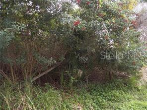SOUTH VENICE - Land