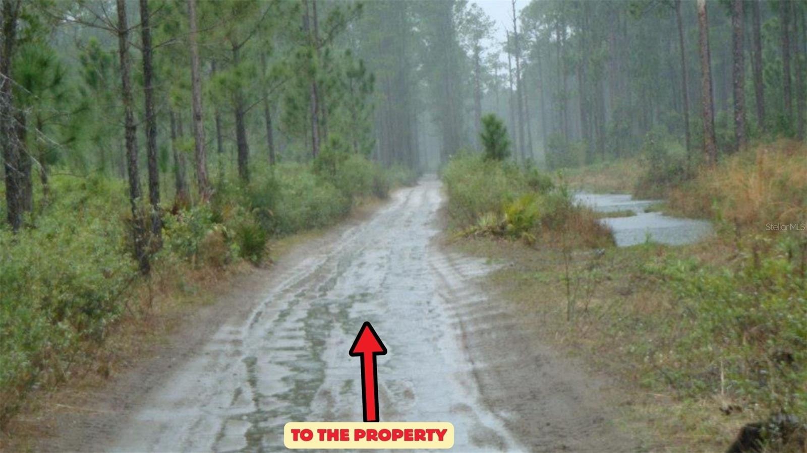 2.51± Acre Recreational parcel located within the well-known River Ranch area of Lake Wales, Florida, a Massive Private Recreational community spanning approximately 44,000 acres. The property is zoned RC (Recreational / Conservation) and is NOT intended for traditional residential use.

This land is designed exclusively for Recreational and off-grid use. RVs ARE permitted, and Tiny homes are Allowed only if they are Non-Permanent structures. Permanent structures are NOT allowed, including site-built homes, manufactured homes, mobile homes, permanent cabins, or any structure requiring permanent foundations. Private wells, septic systems, and permanent utility installations are also NOT permitted.

There are No time-limit restrictions on stays. Owners may remain on the property year-round using a fully self-contained RV or approved Non-permanent setup, provided all water supply and wastewater are handled within the RV system. This preserves River Ranch’s natural, recreational environment.

The parcel is raw and unimproved, with No public utilities available. Electricity, if desired, must be handled off-grid through generators, solar panels, battery systems, or similar alternatives. River Ranch access is controlled by a guarded gate, and ownership requires a River Ranch membership, with current dues of approximately $175 per year.

Ideal for Camping, Hunting, Fishing, Trail riding, ATVs, buggies, and outdoor recreation, this property offers privacy and freedom rarely found in traditional land ownership.

Despite its secluded setting, everyday conveniences are within driving distance, including shopping and essentials near Walmart Supercenter, Kohl’s, and Lakeshore Mall. Medical facilities include AdventHealth Lake Wales and AdventHealth Sebring. Nearby points of interest include Spook Hill, Kissimmee Prairie Preserve State Park, and LEGOLAND Florida Resort.

This is a true recreational property, perfect for buyers seeking a weekend getaway, a long-term RV base, or a private outdoor retreat, and not suitable for residential development.