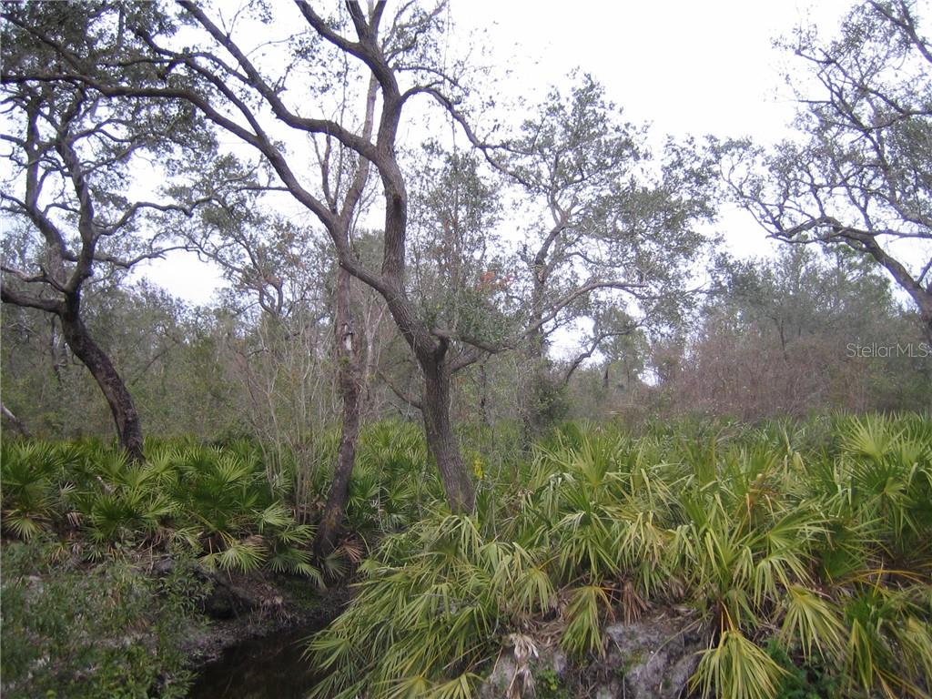 WINDING CREEK - Land