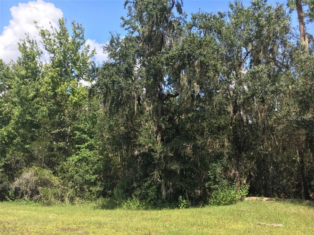 Almost 7 Acres with mature trees, both oaks and pines. There is a spring fed creek through the back portion of the property. Paved road frontage. This beautiful lot would make a beautiful building site.
Winding Creek is located in rural Myakka City, and is a beautiful equestrian community that is deed restricted, but allows it's residents to have pets, cattle and horses The community also has a wildlife preserve. What an opportunity! Have you always dreamed of building your dream home but did not want to settle for lack of privacy. This home site is located in the sought-after development of Winding Creek. You will love the fact that you have access and full use of the 148 acre members only Preserve at Winding Creek. Perfect for a relaxing stroll, an after work bike ride or horseback ride. Build your dream home far from neighbors, noise, and the hustle and bustle of life. With almost 7 acres, you can build your own private oasis. This lot offers natural Florida beauty including an abundance of mature oaks. Plenty of room for a pool and tennis court on your equestrian estate. Horses are welcomed and the community offers a 132 acre equestrian training center plus the 148 acre preserve for riding. 4 X 4 golf carts are welcomed as well as four wheelers, and UTVs. Room for your RV, tractor. and all of your toys. Paved roads and maintained Winding Creek is located just off State Road 64 in East Manatee County. Country Living at its best!