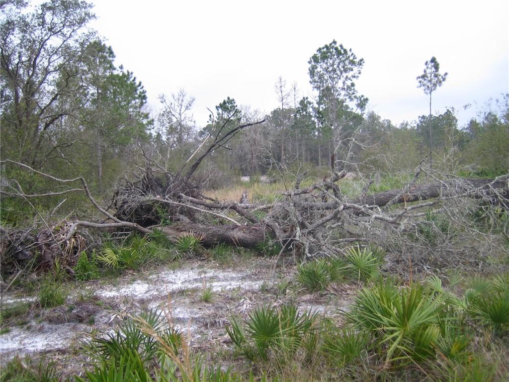 WINDING CREEK - Land