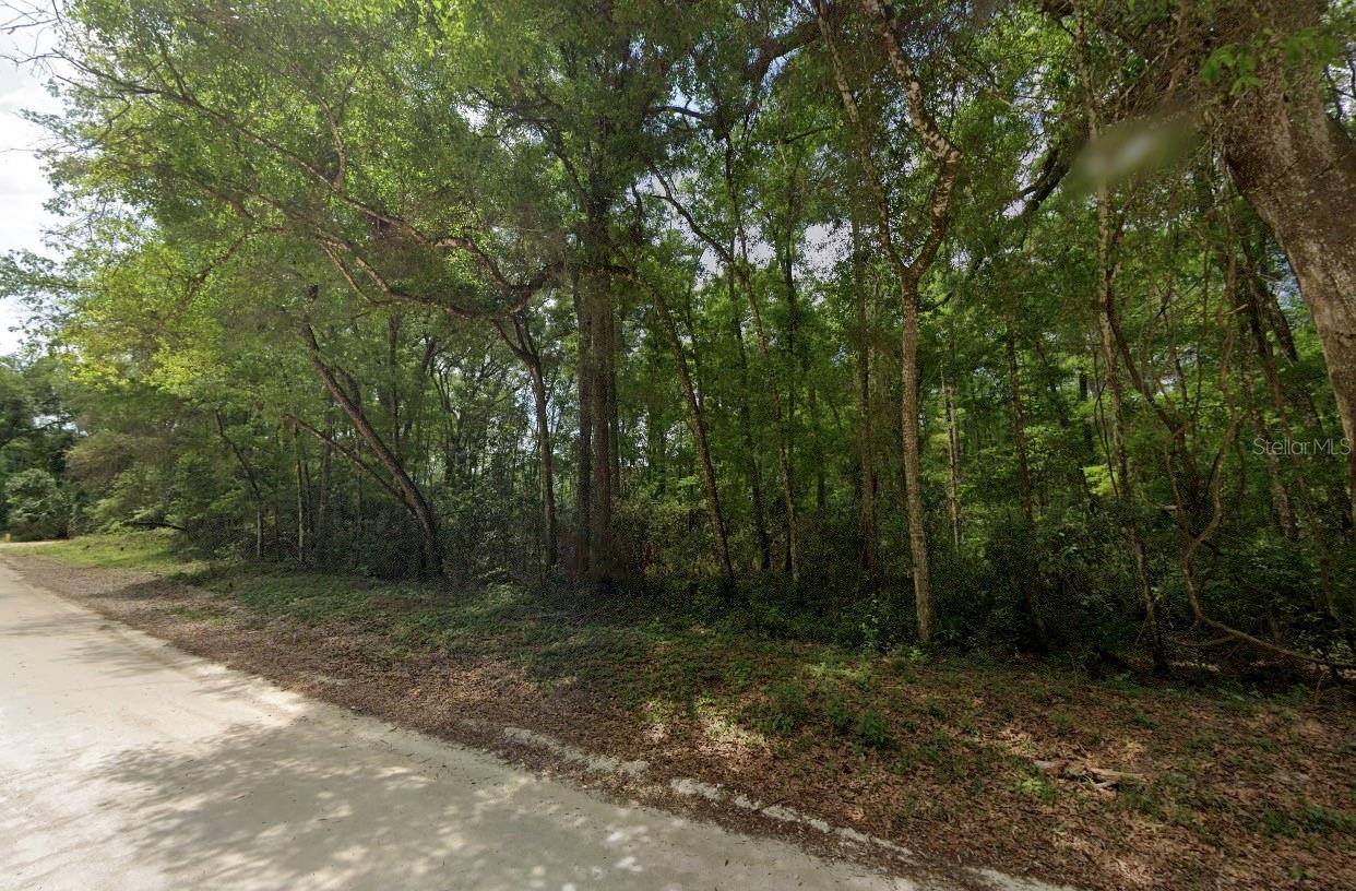 KING WOODLANDS - Land