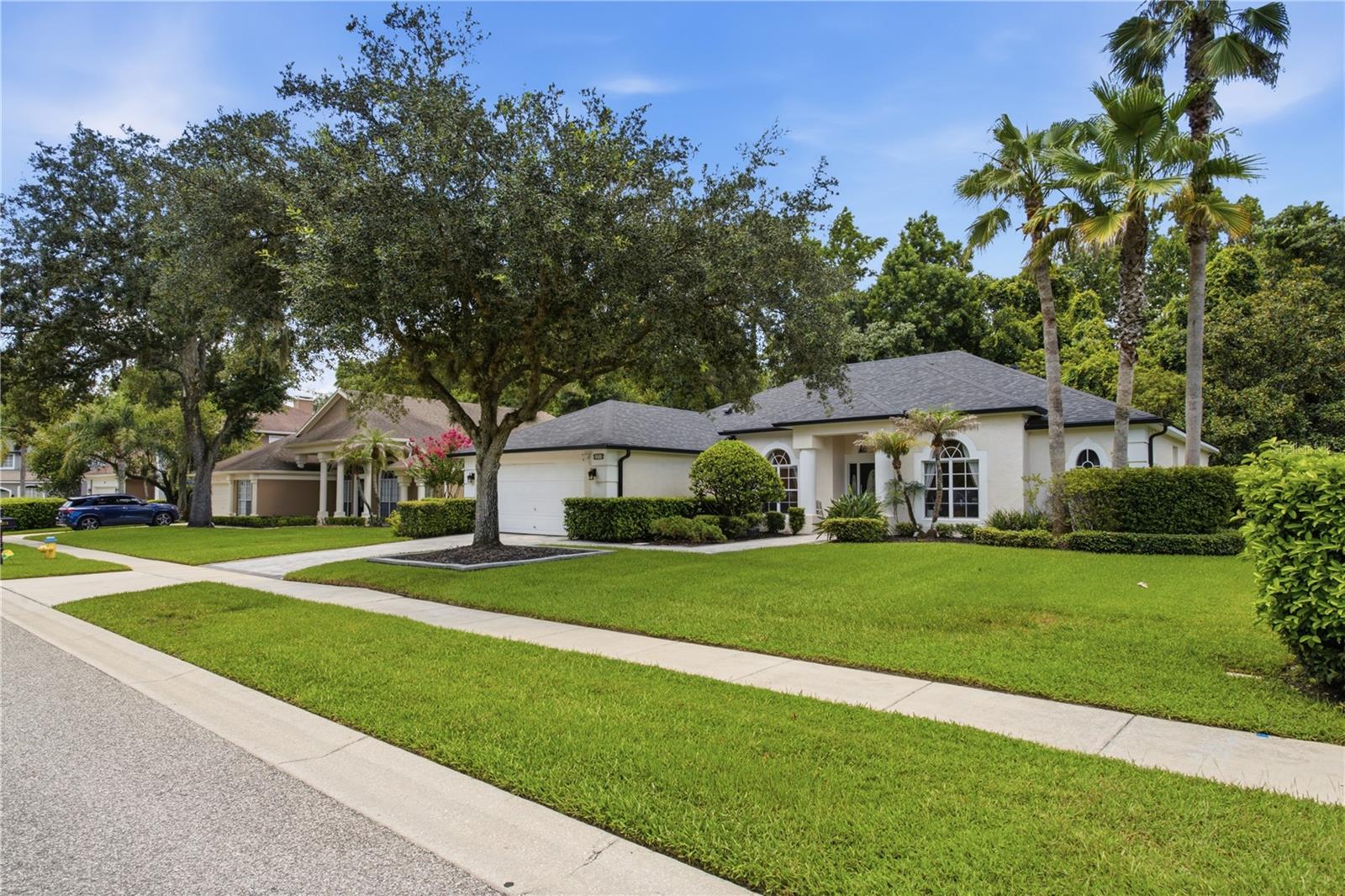 CHESTNUT ESTATES PH 2 - Residential