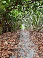 COQUINA BEACH - Land